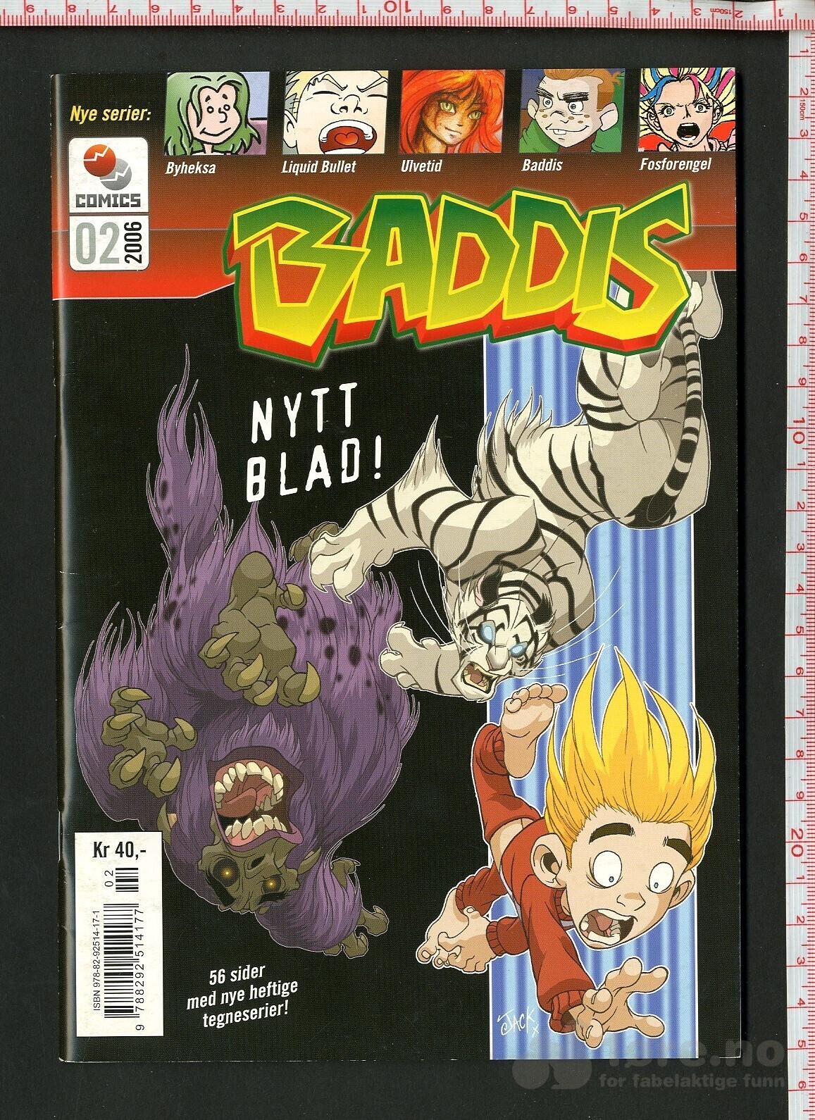 Baddis 2006 nr 2