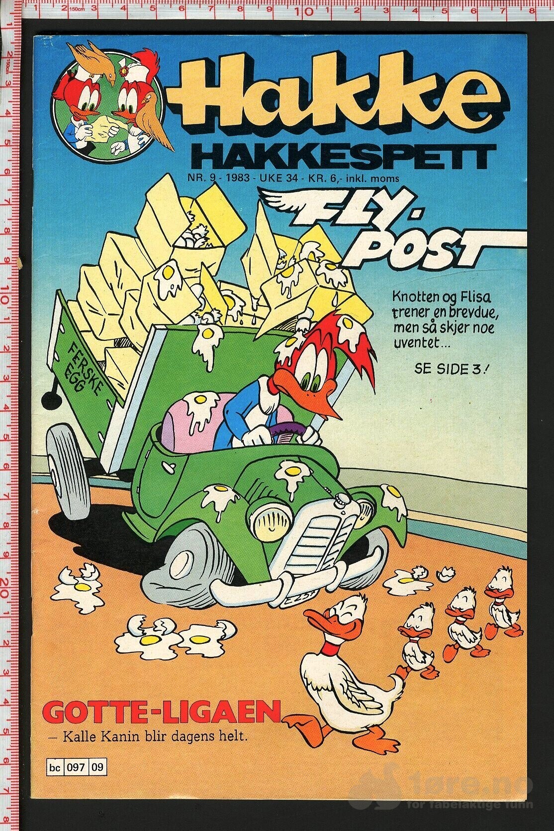 Hakke hakkespett - 1983, bilde 7