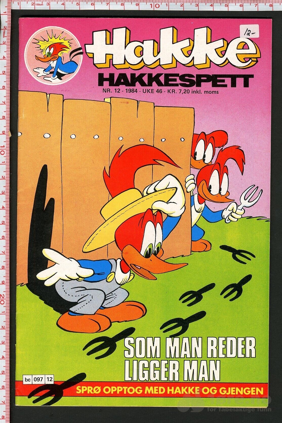 Hakke hakkespett - 1984, bilde 11