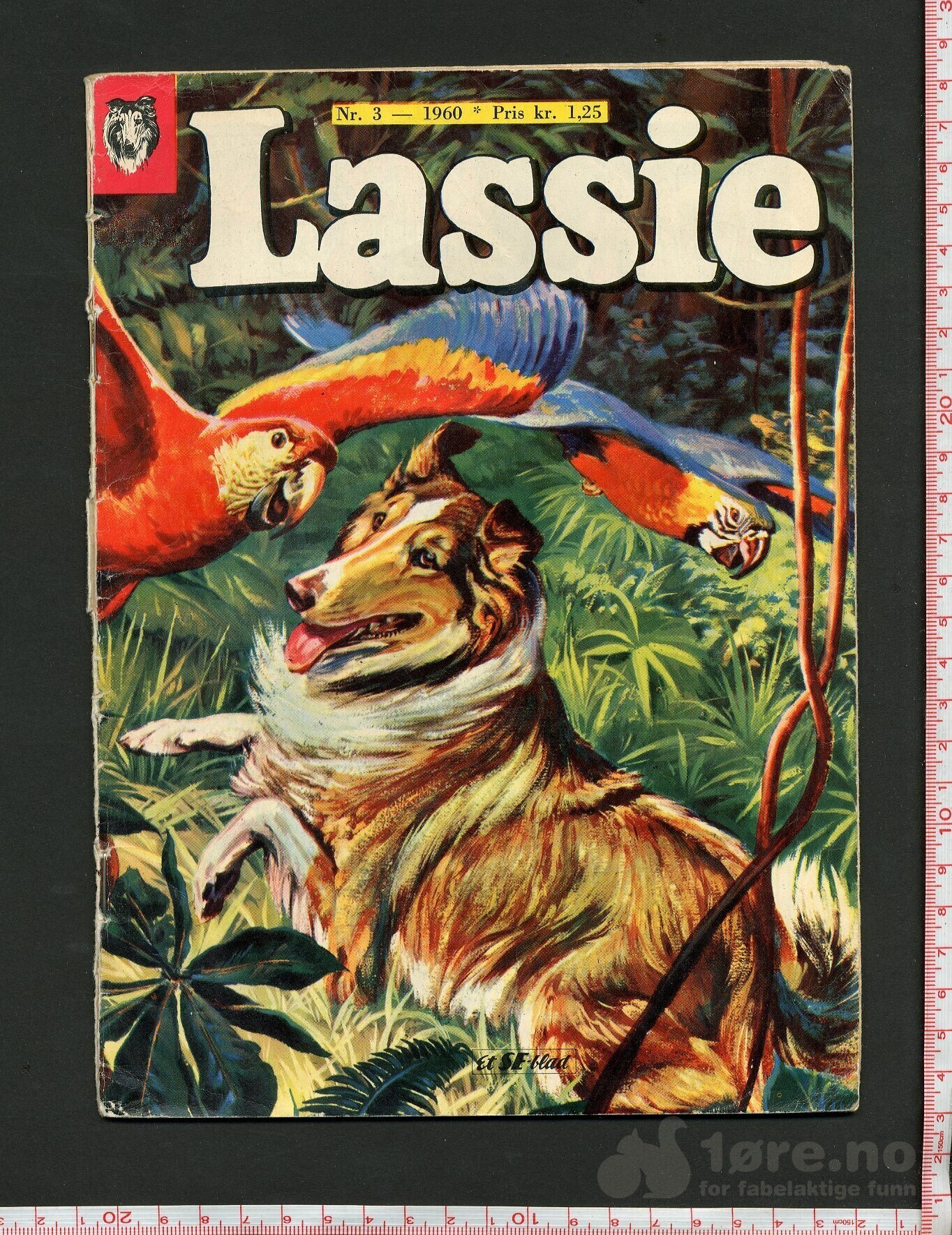 Lassie 1959-1963, bilde 3