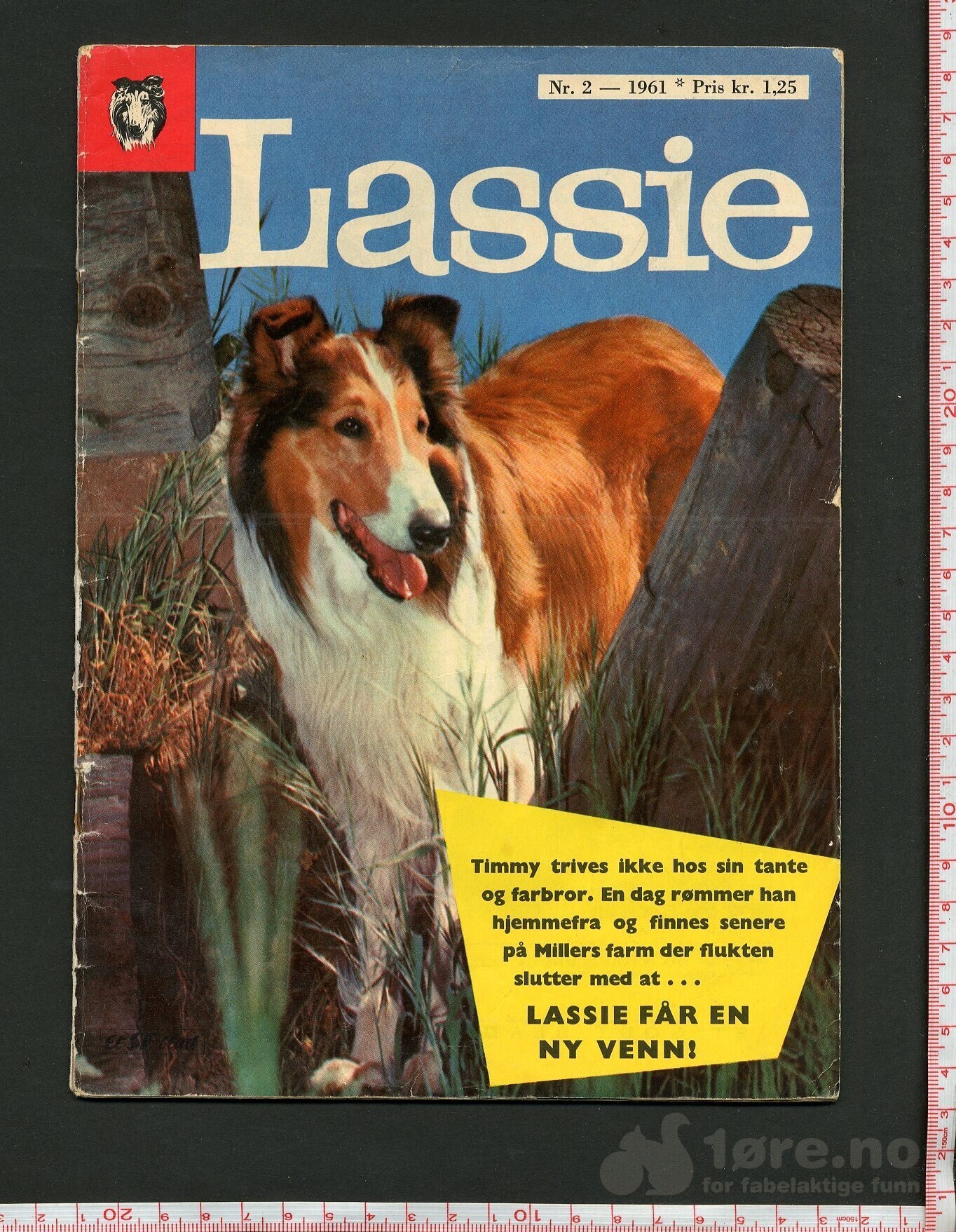 Lassie 1959-1963, bilde 5