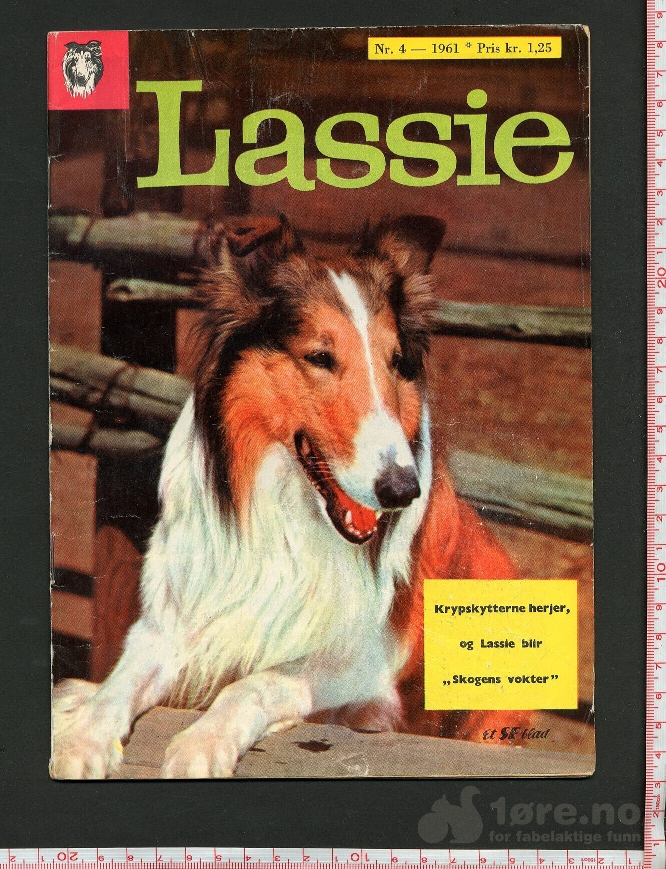 Lassie 1959-1963, bilde 6