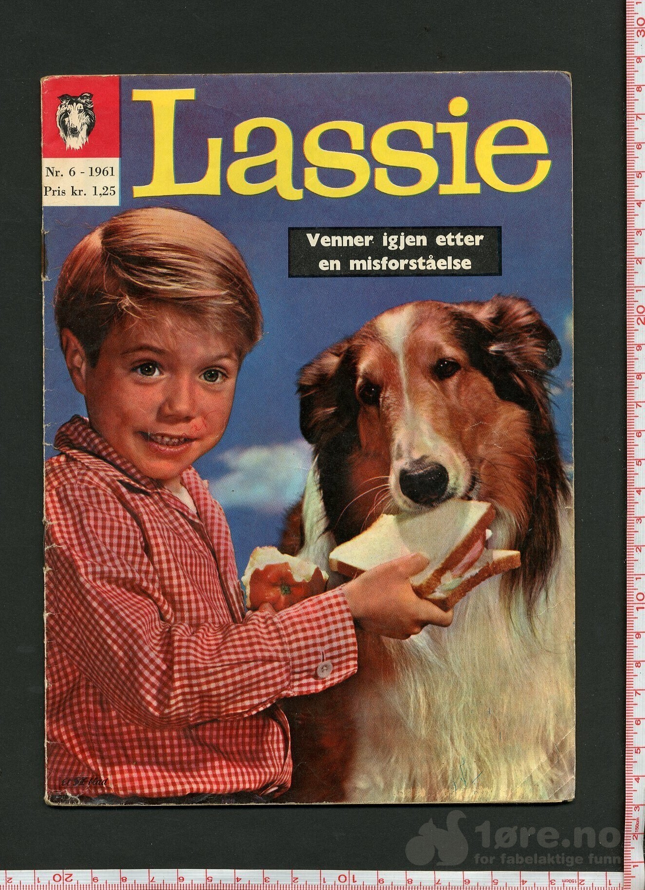 Lassie 1959-1963, bilde 7