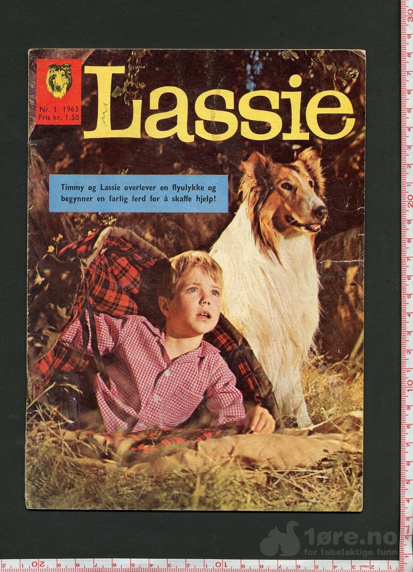 Lassie 1959-1963, bilde 8