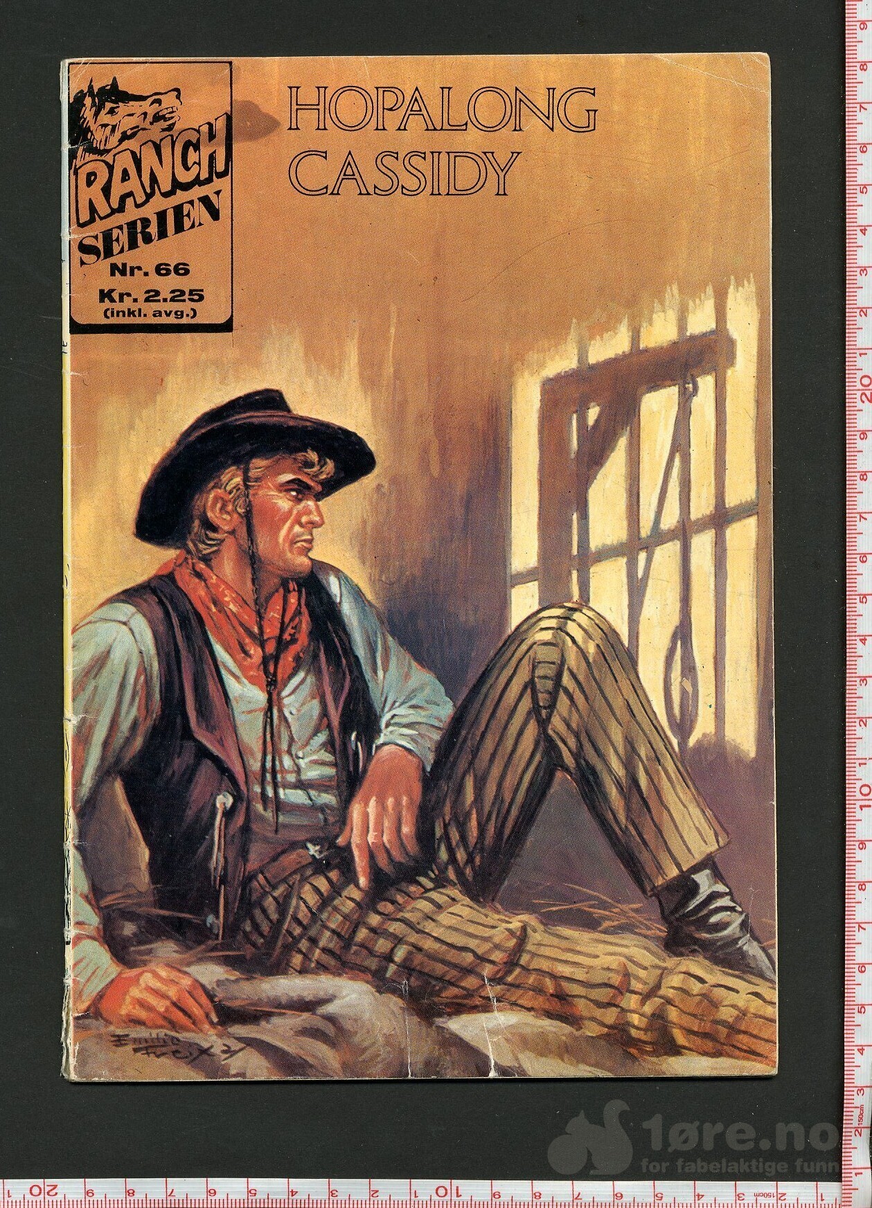 Ranch serien 59,66,79,84,95,101,109,125, 9/74, bilde 2