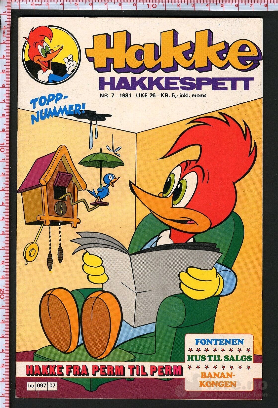 Hakke Hakkespett - 1981, bilde 7