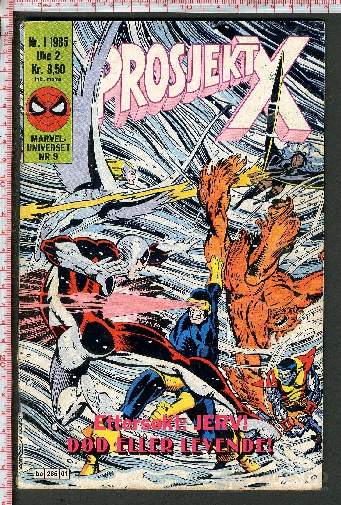 Prosjekt X - 1985/90