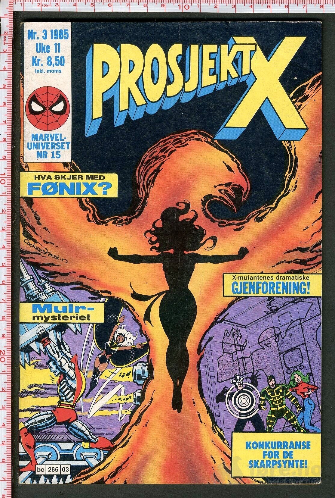 Prosjekt X - 1985/90, bilde 2