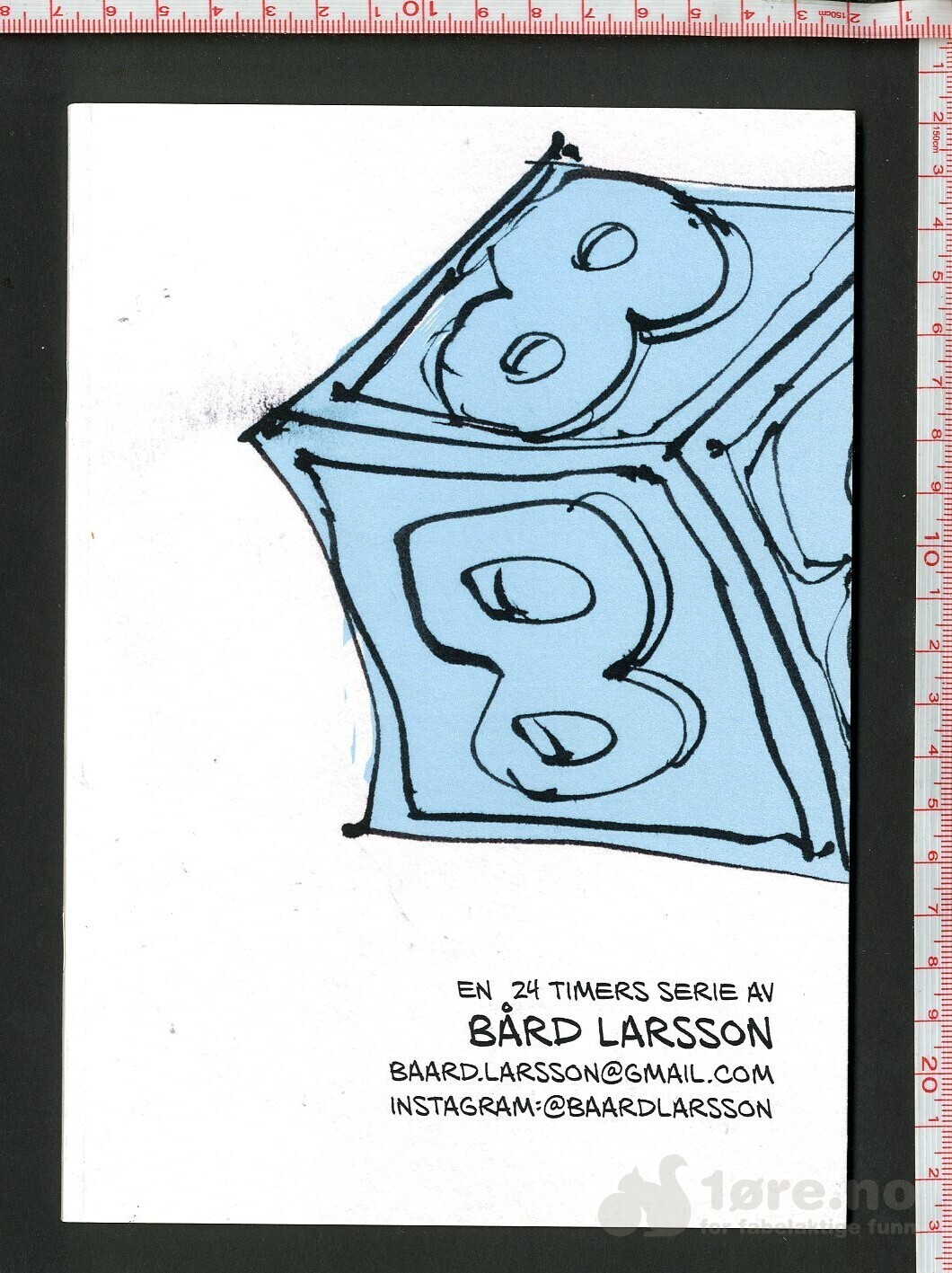 En 24 timers serie av Bård Larsson