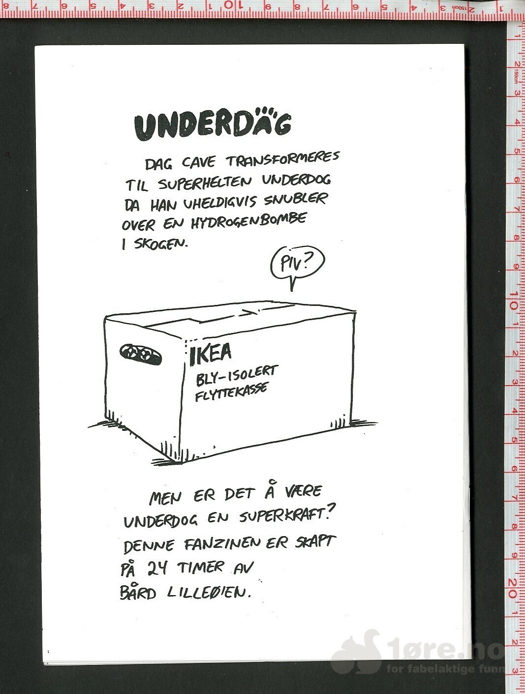 Underdag, bilde 2