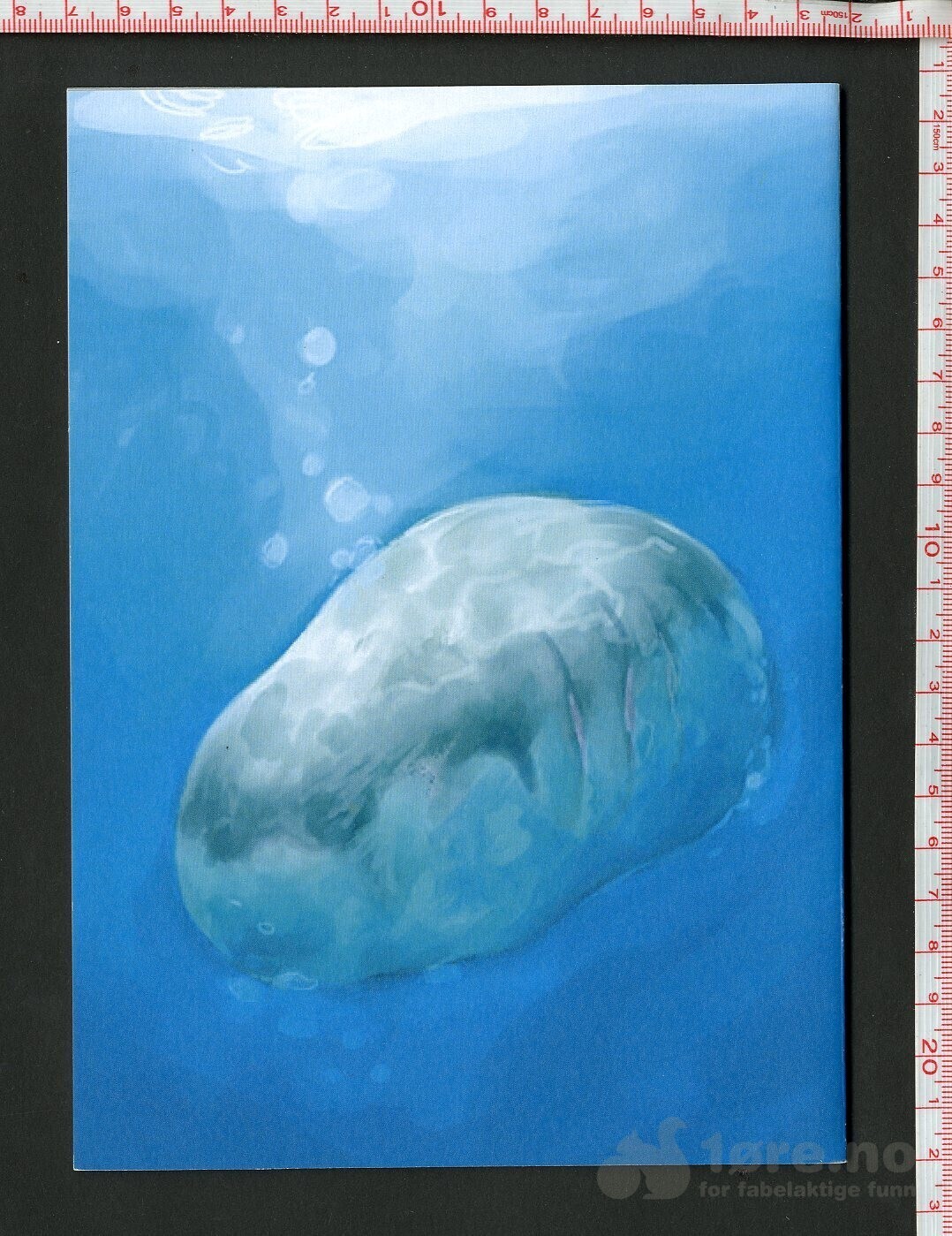Kjøtth 2010, bilde 2