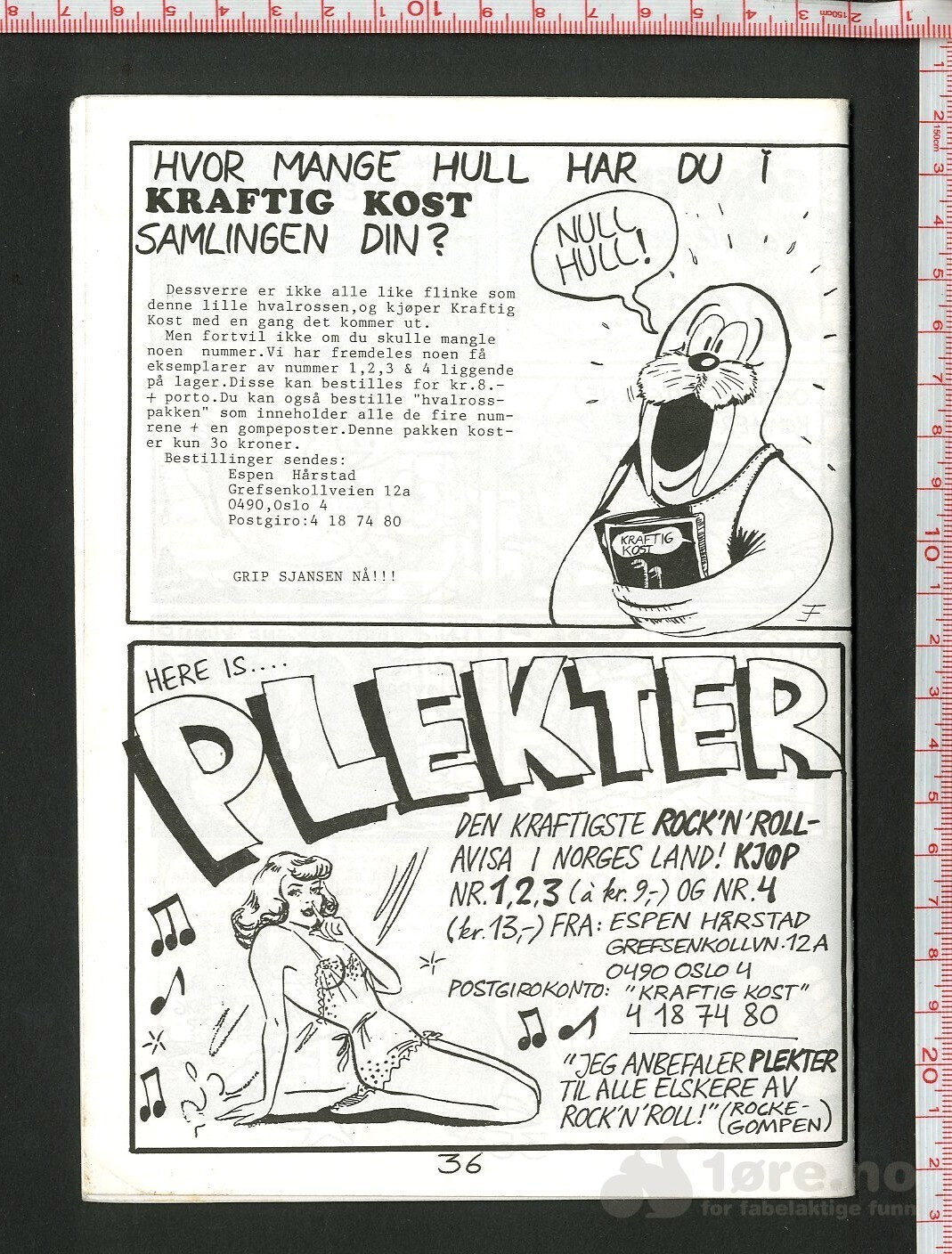 Kraftig kost nr 5 og 6, bilde 2