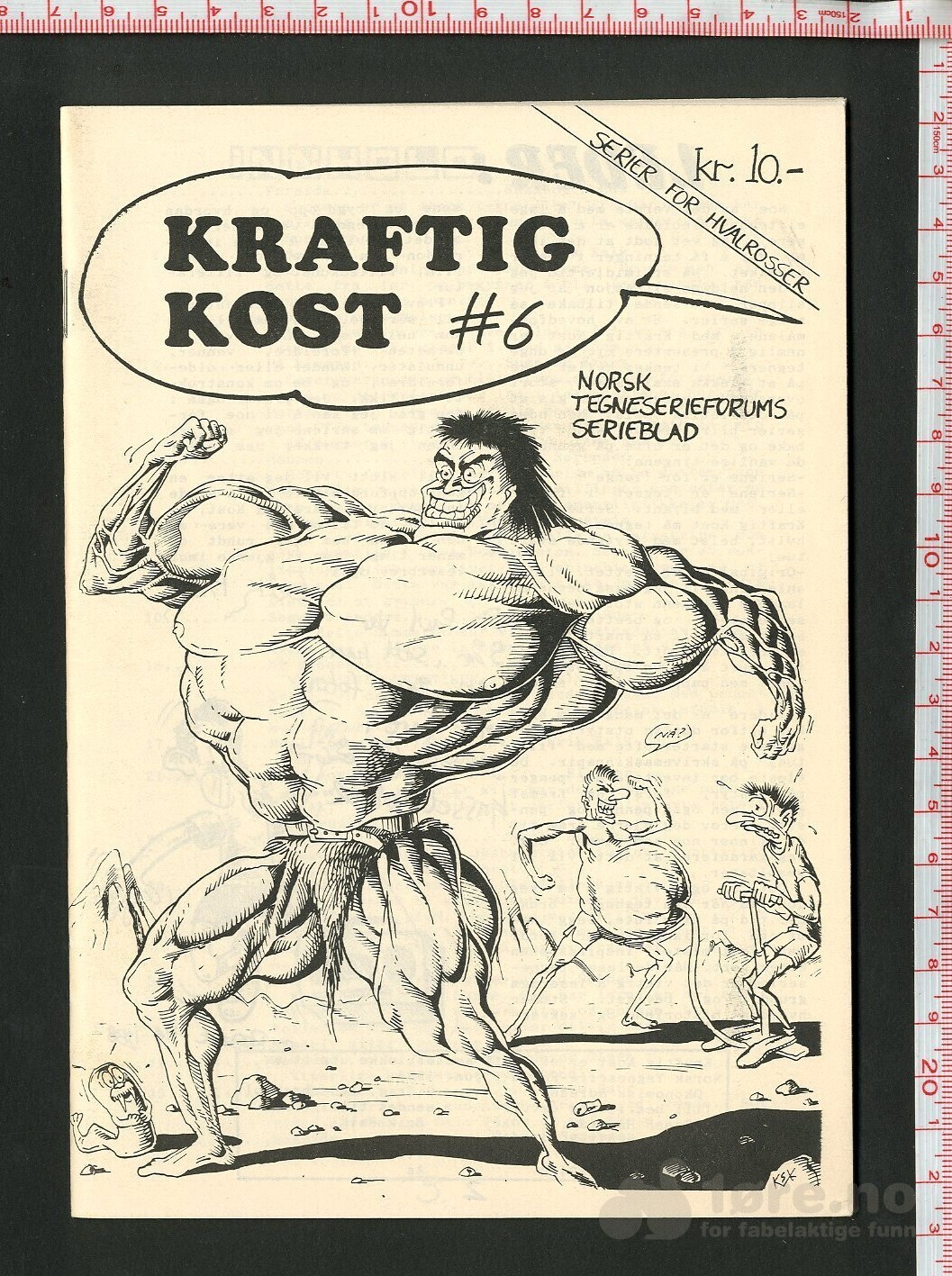 Kraftig kost nr 5 og 6, bilde 3