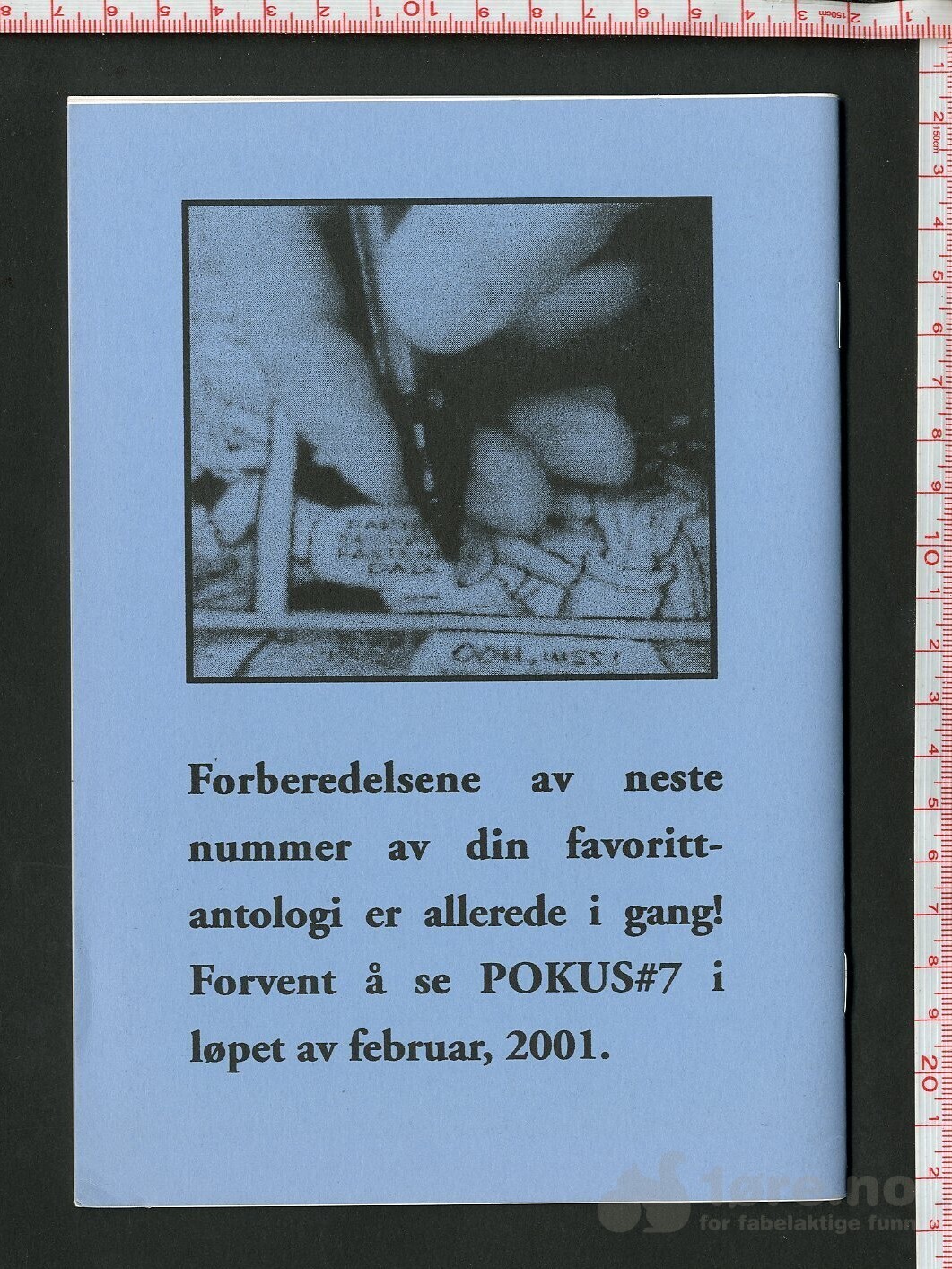 Pokus presenterer nr 1-6, bilde 12