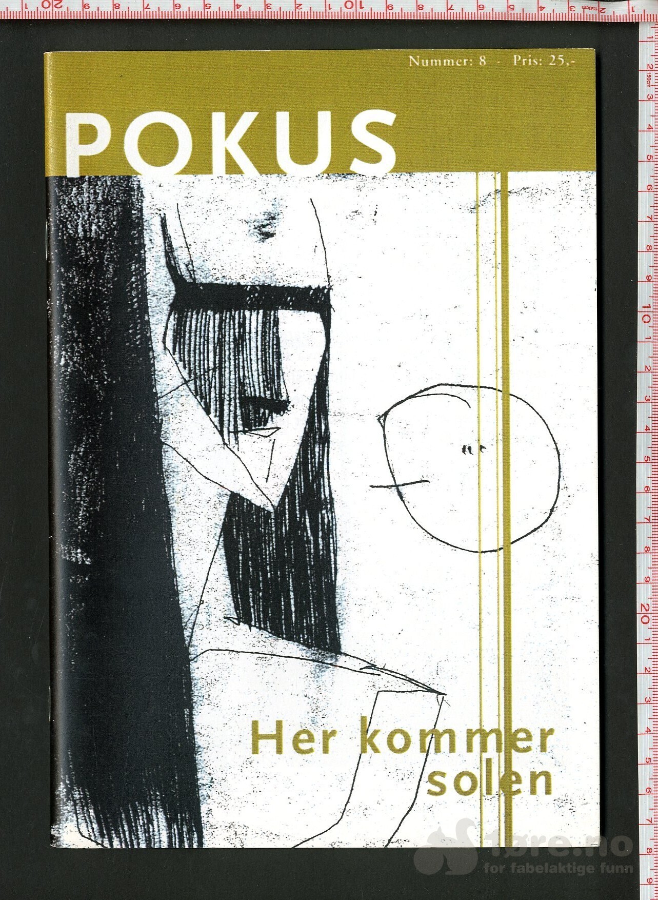 Pokus nr 7-9, bilde 3