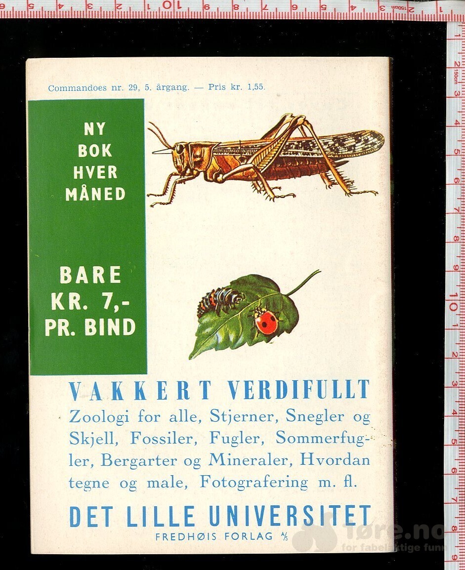 COMMANDOES 1966 nr 29, bilde 2