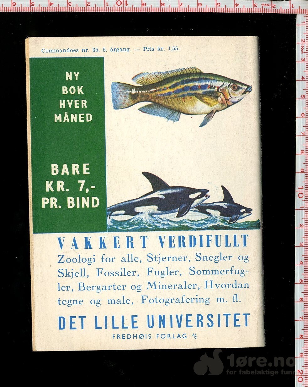 COMMANDOES 1966 nr 35, bilde 2