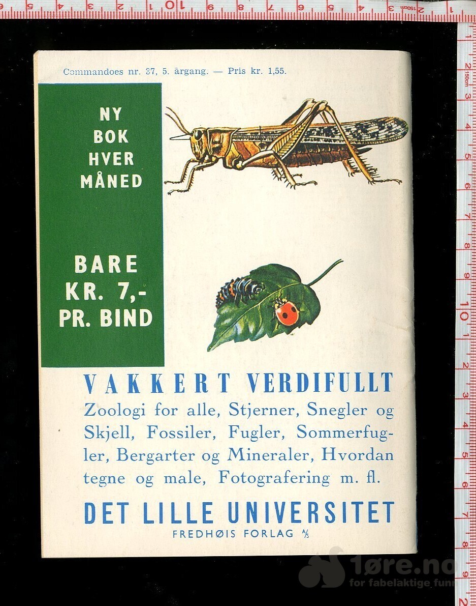COMMANDOES 1966 nr37, bilde 2