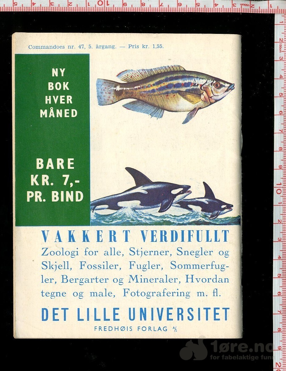 COMMANDOES 1966 NR47, bilde 2