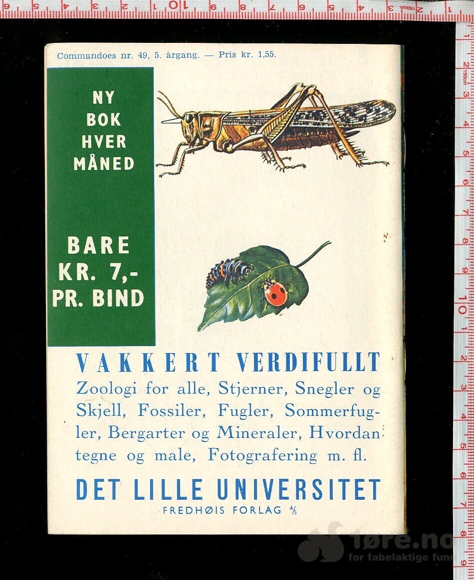 COMMANDOES 1966 NR49, bilde 2