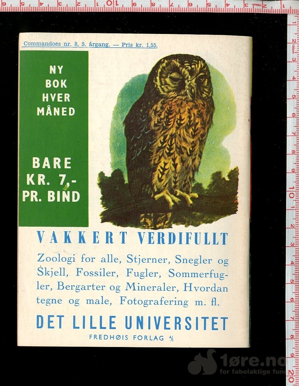 COMMANDOES 1966 NR8, bilde 2