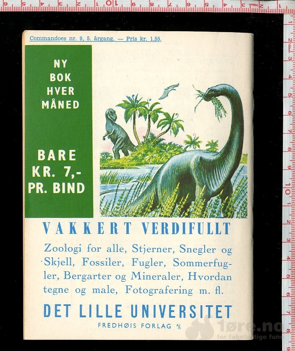 COMMANDOES 1966 NR9, bilde 2