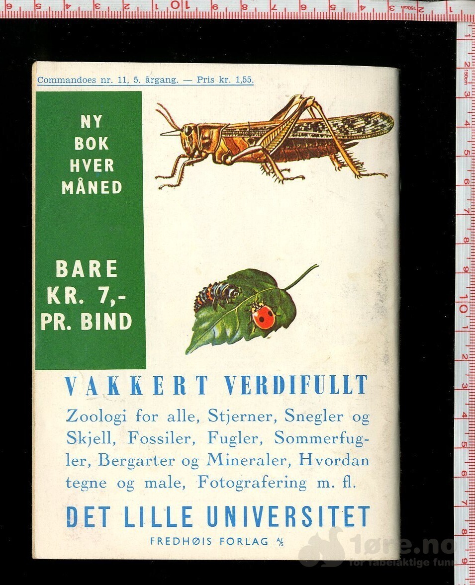 COMMANDOES 1966 NR 11, bilde 2