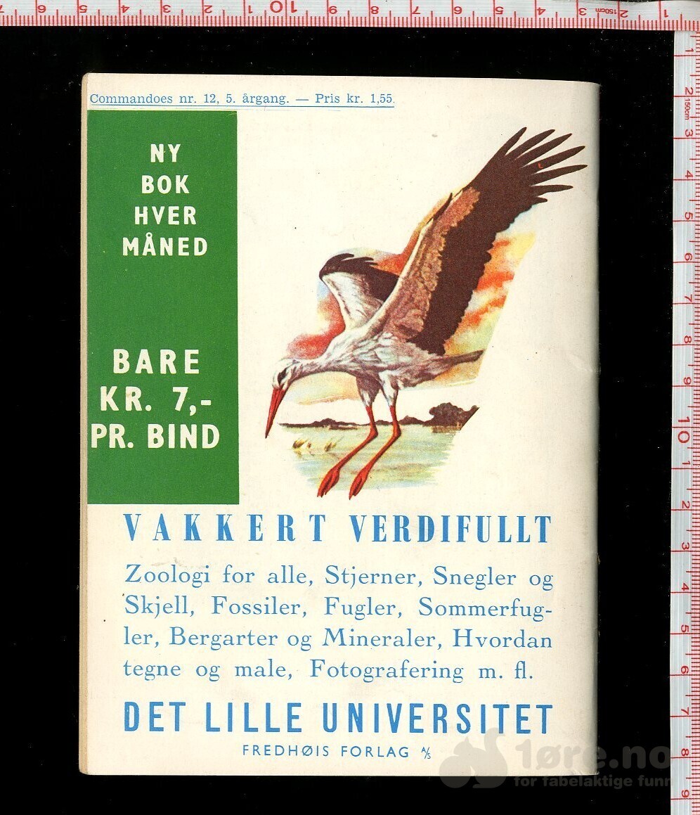 COMMANDOES 1966 NR12, bilde 2