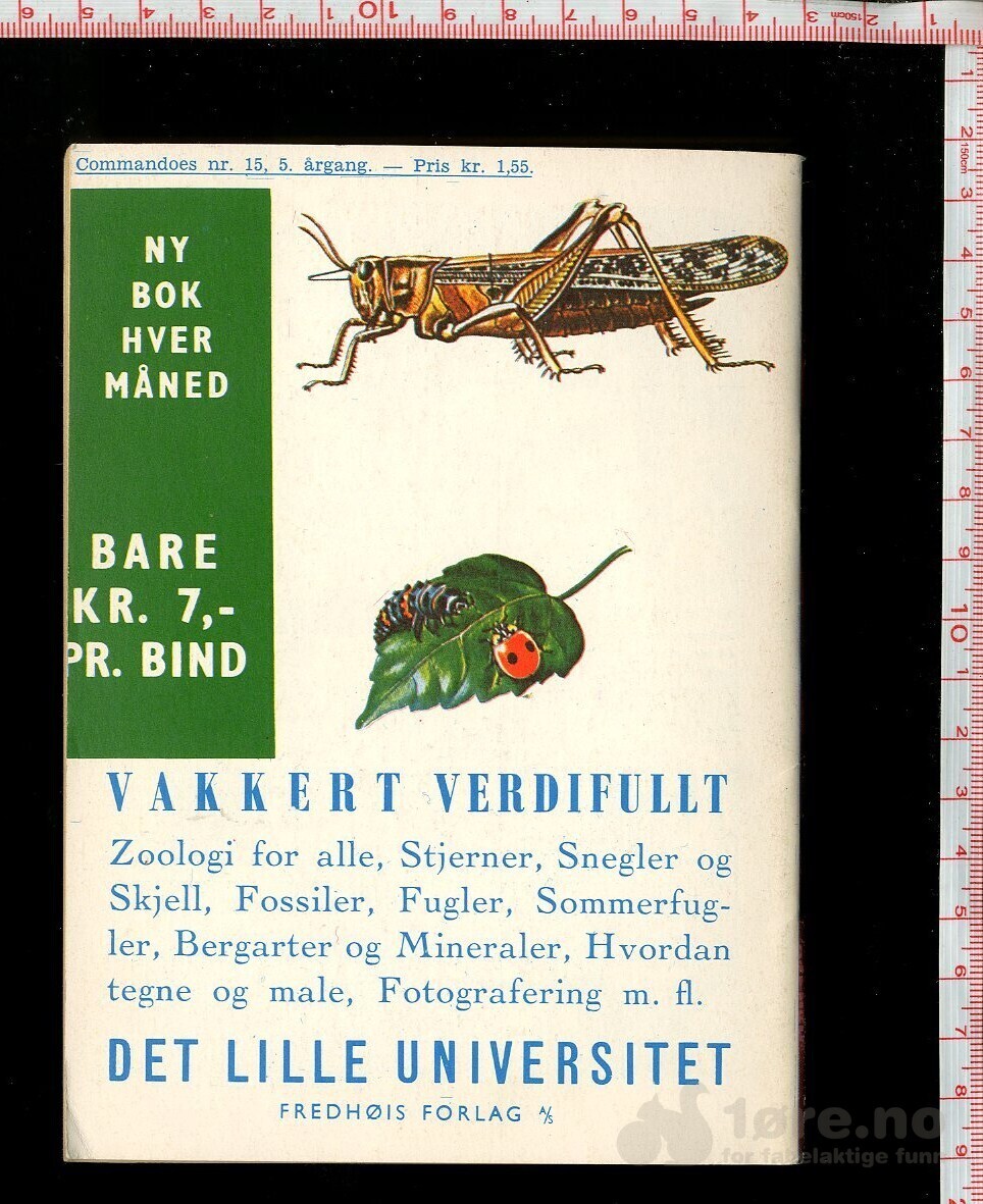 COMMANDOES 1966 NR15, bilde 2