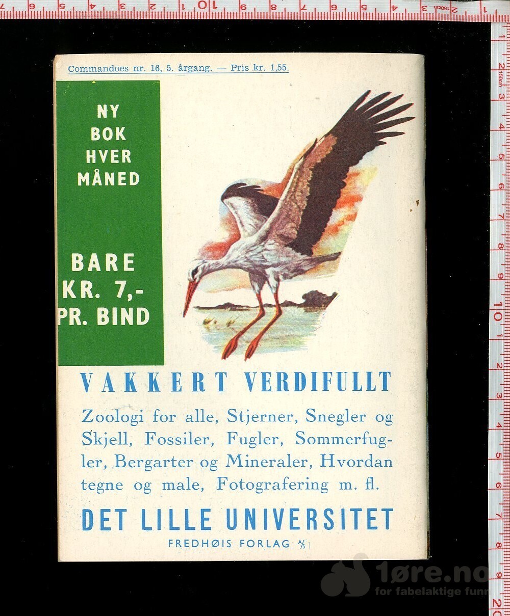 COMMANDOES 1966 NR16, bilde 2