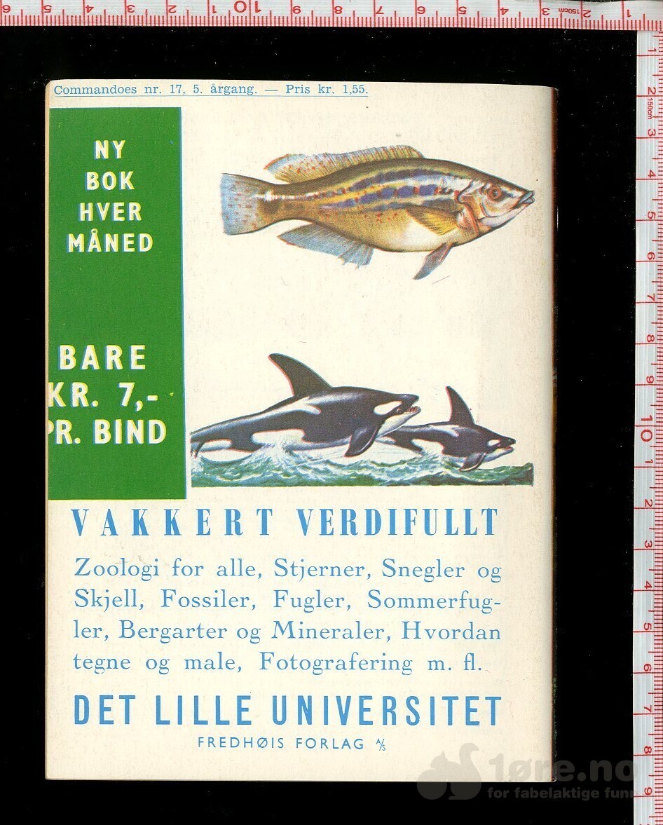 COMMANDOES 1966 NR 17, bilde 2