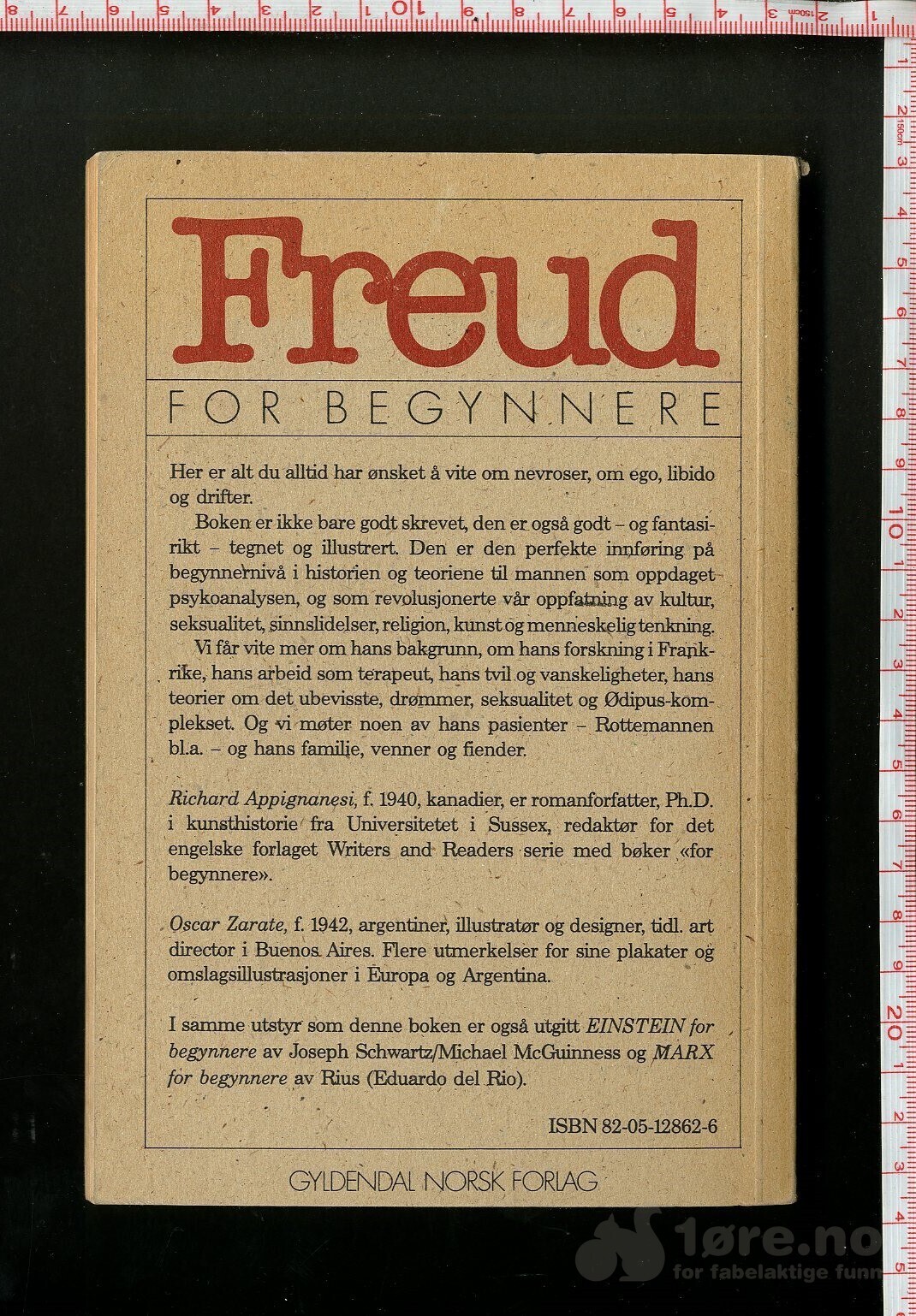 Freud for begynnere, bilde 2