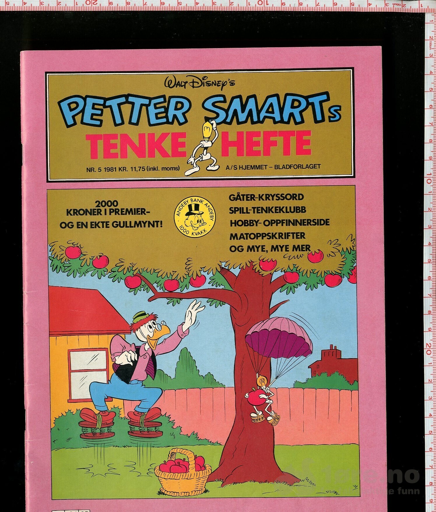 PETTER SMART 1981 NR 5
