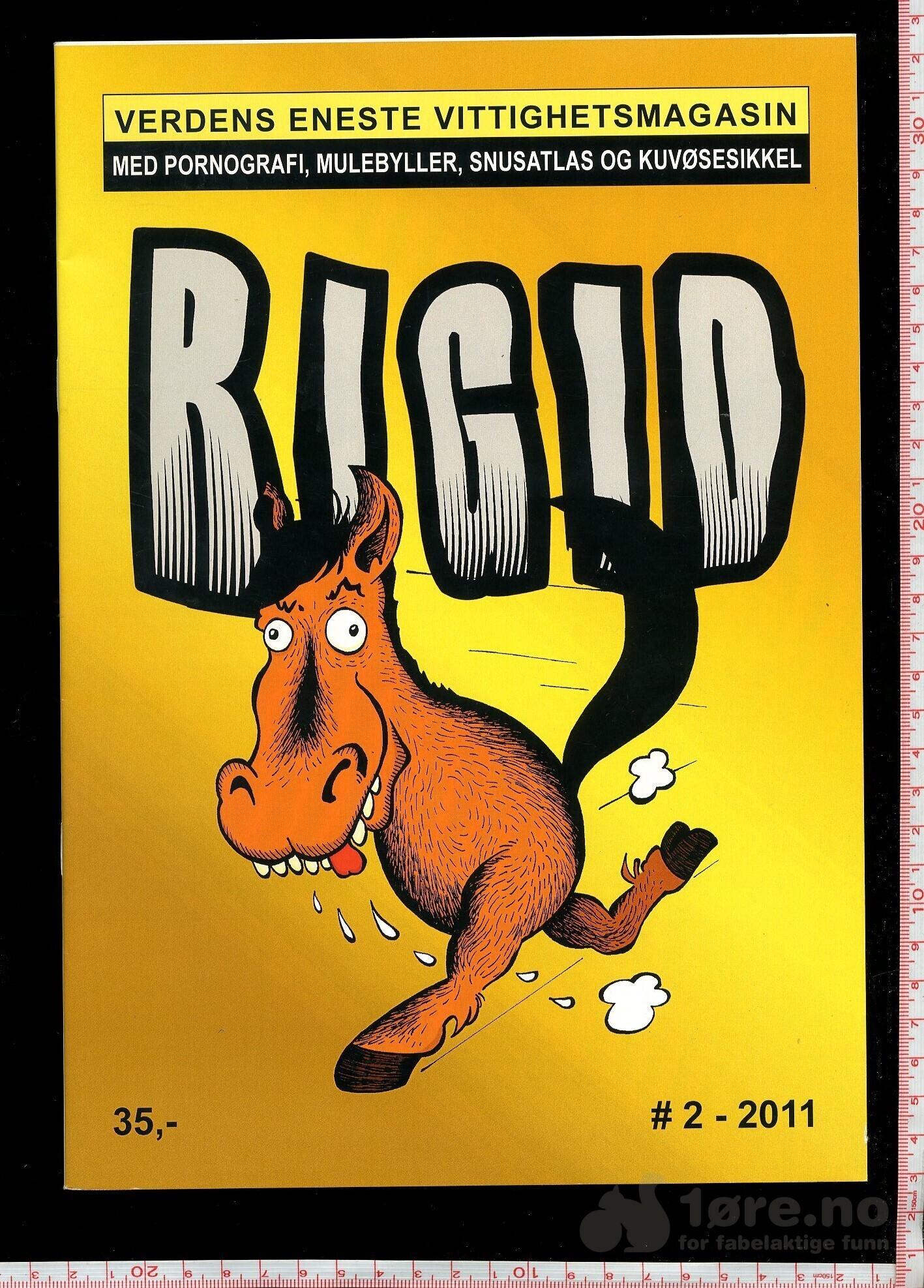 RIGID 2011 nr 2