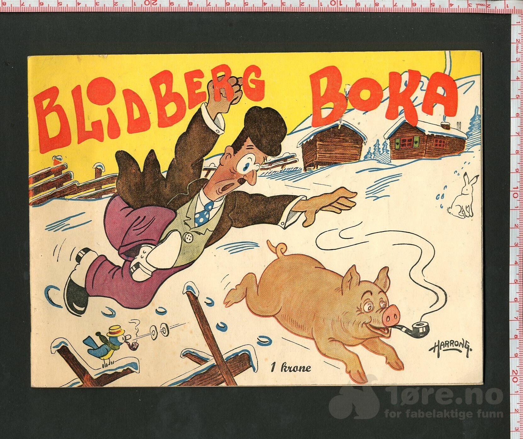 Blidberg boka 1941