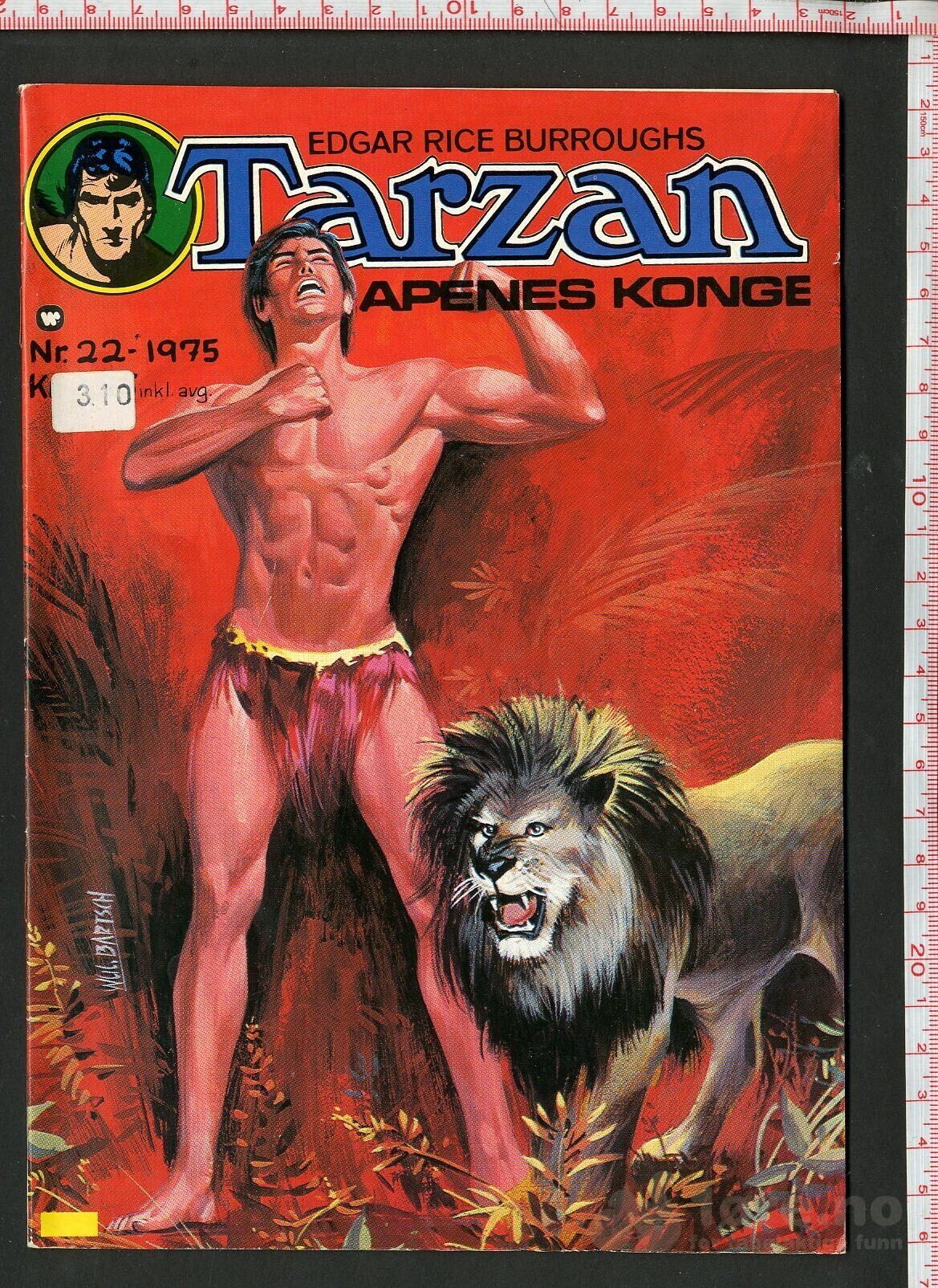 TARZAN 1975-22
