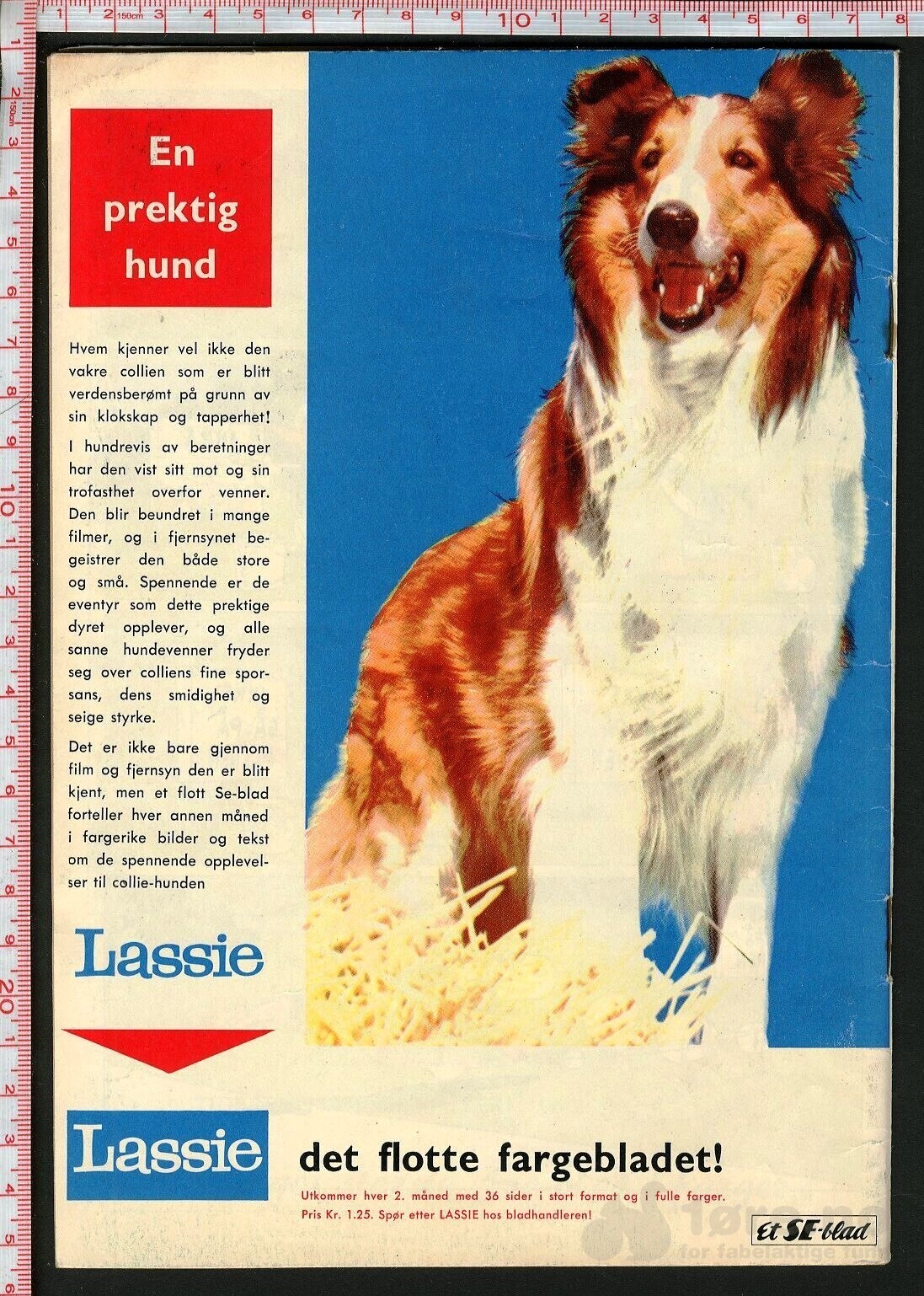 Hakke Hakkespett nr.3 - 1961, bilde 2