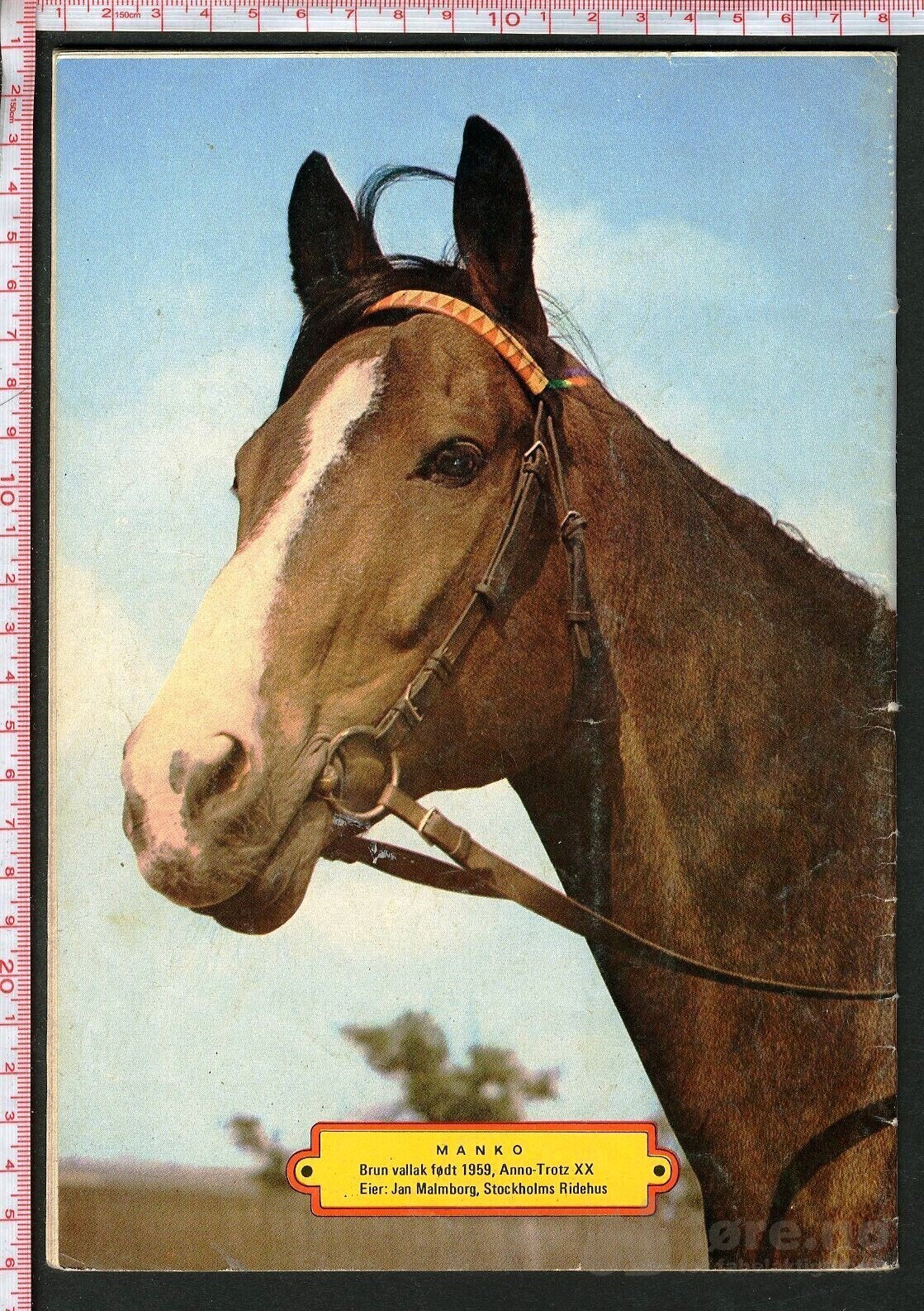 Min Hest nr.1 - 1973, bilde 2