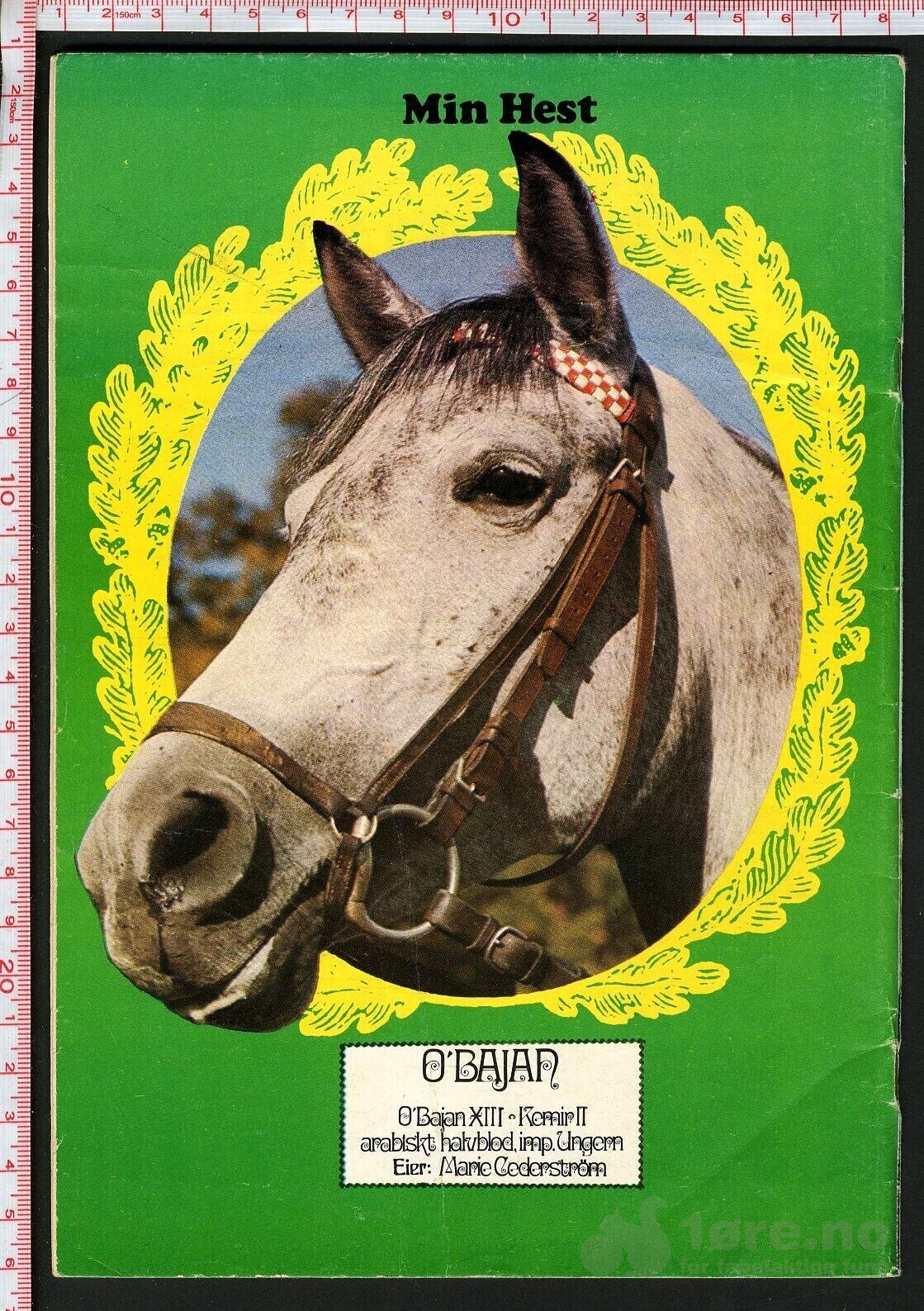 Min hest nr.6 - 1973, bilde 2