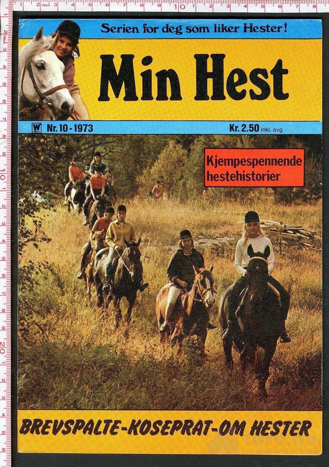 Min hest nr.10 - 1973