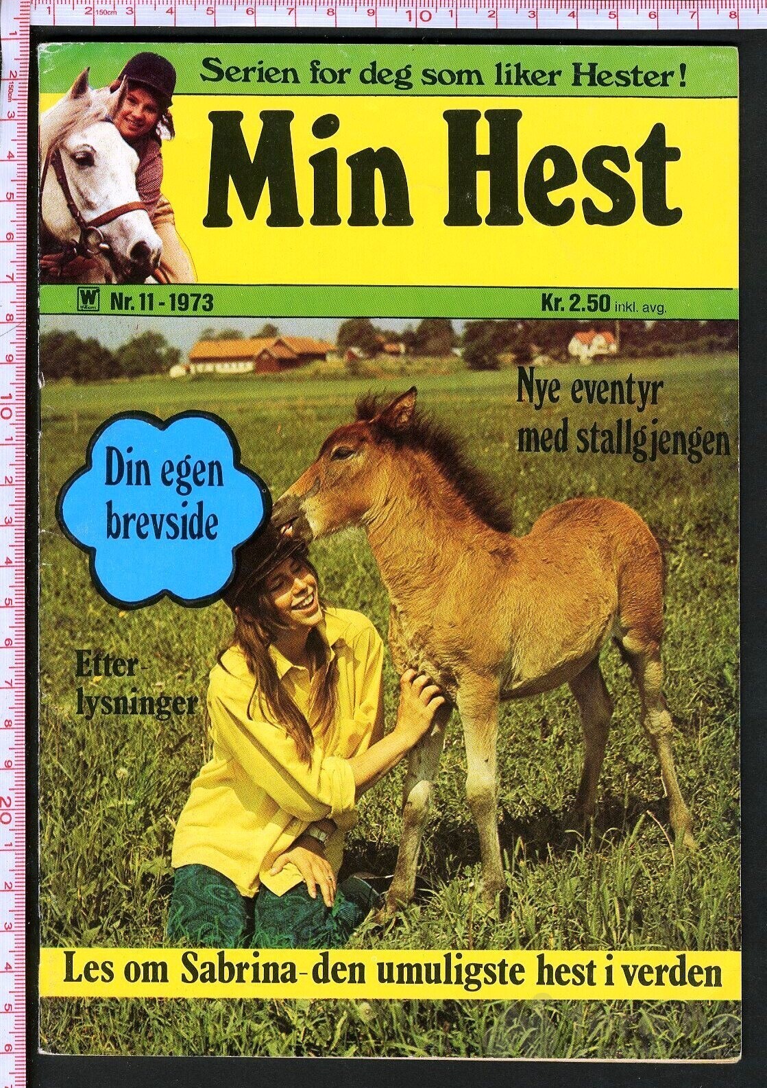Min hest nr.11 -1973