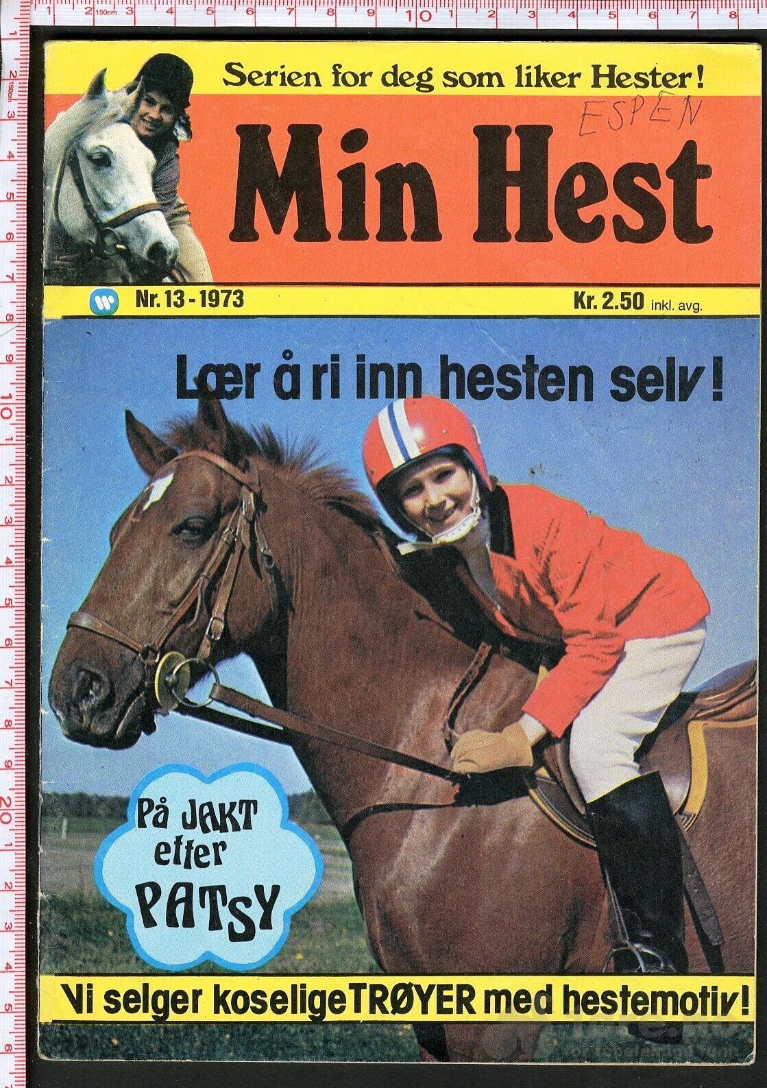 Min hest nr.13 - 1973