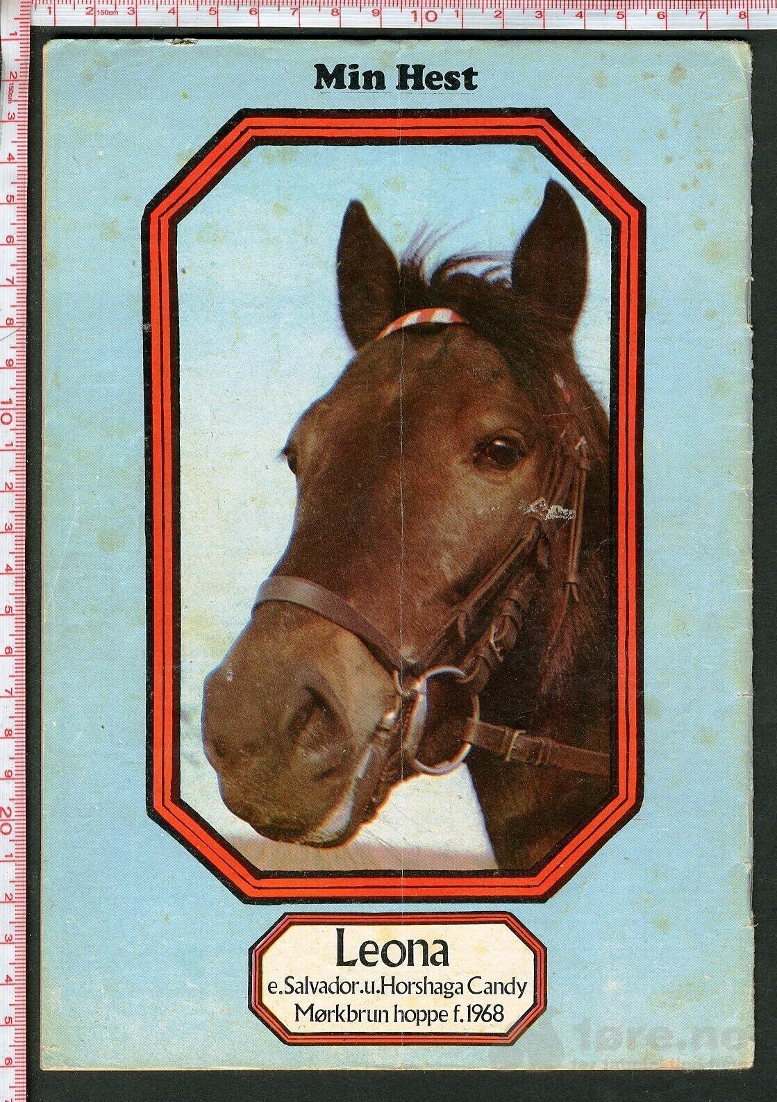Min hest nr.2 - 1974, bilde 2