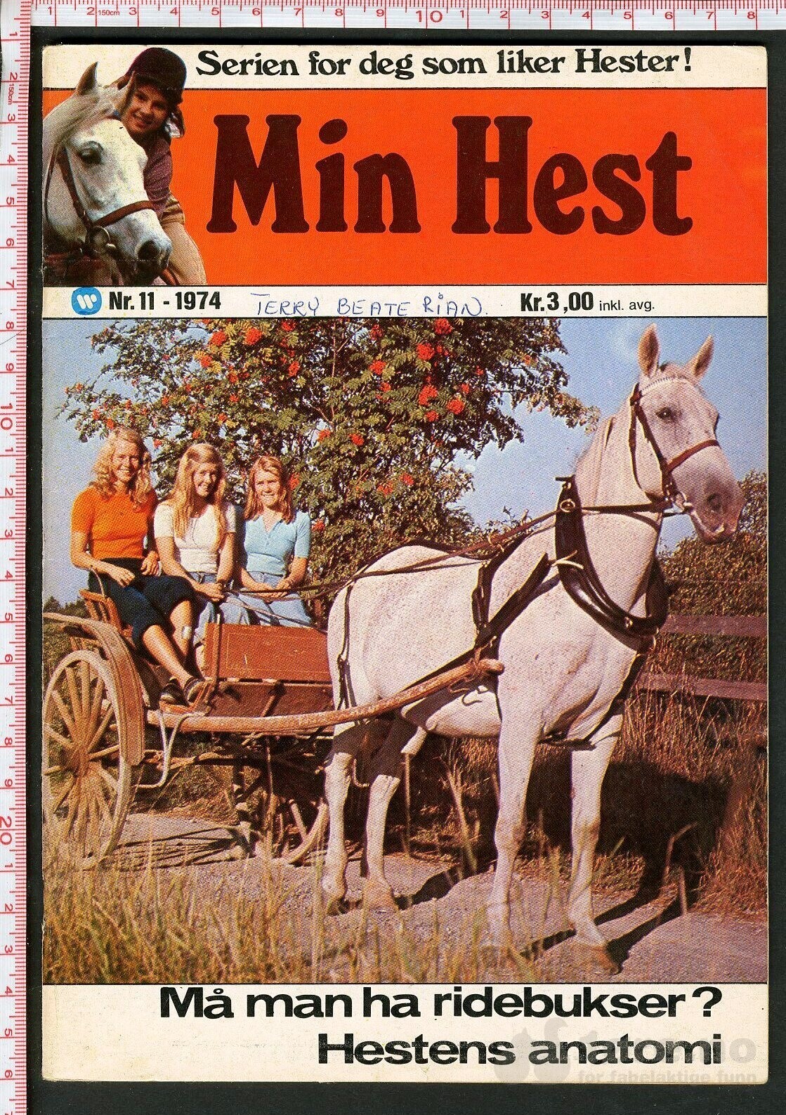 Min hest nr.11 - 1974
