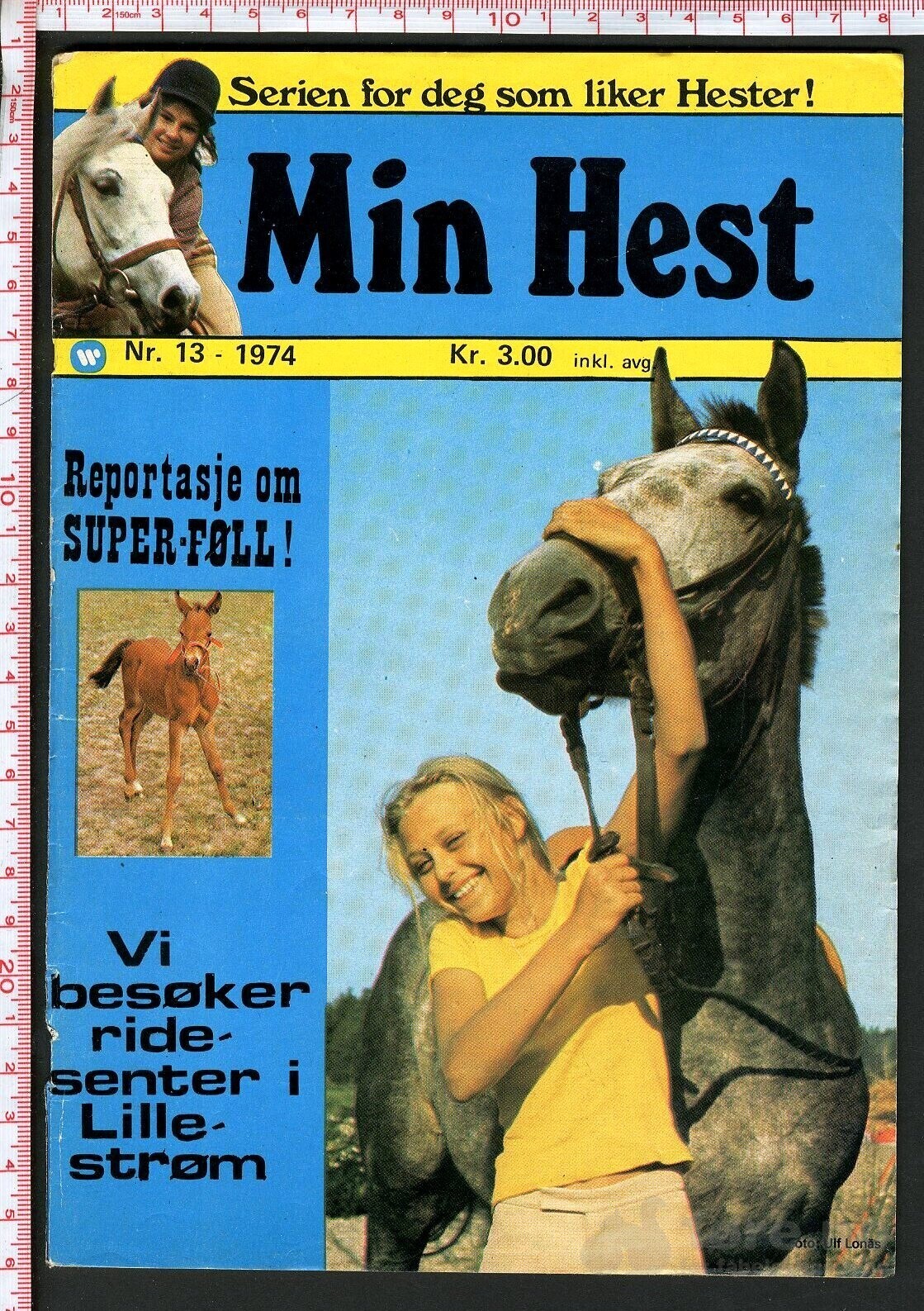 Min hest nr.13 - 1974