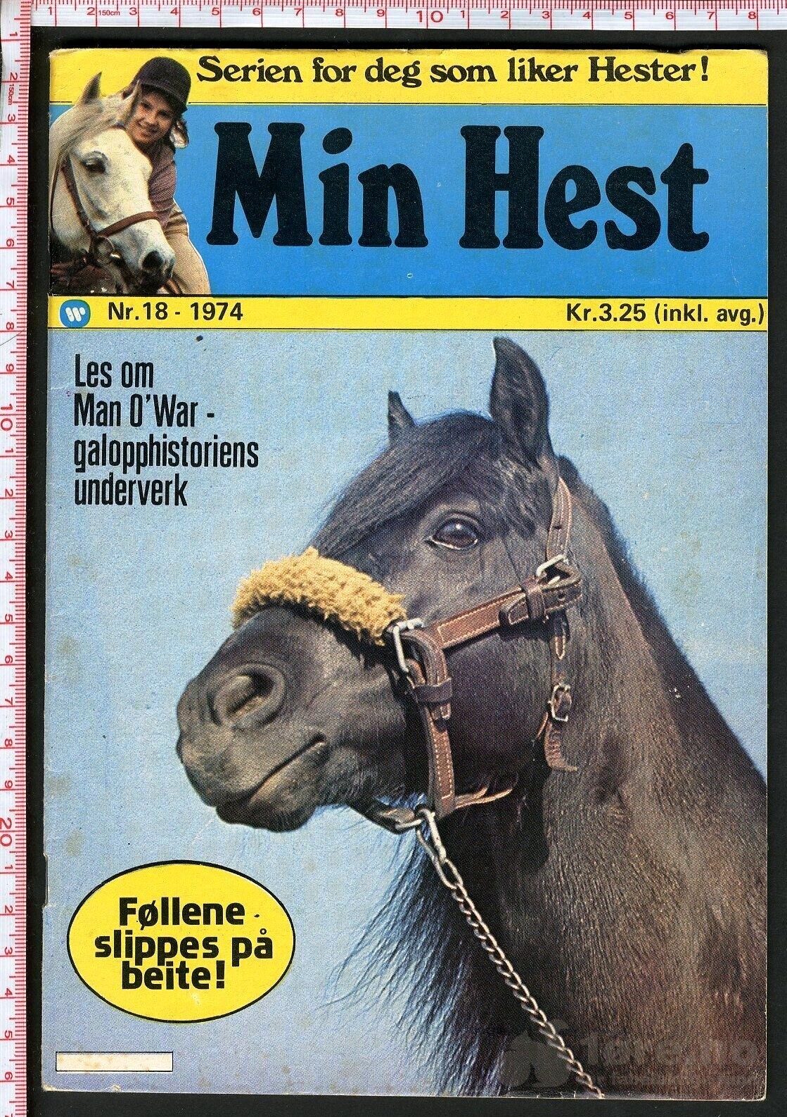 Min hest nr.18 - 1974