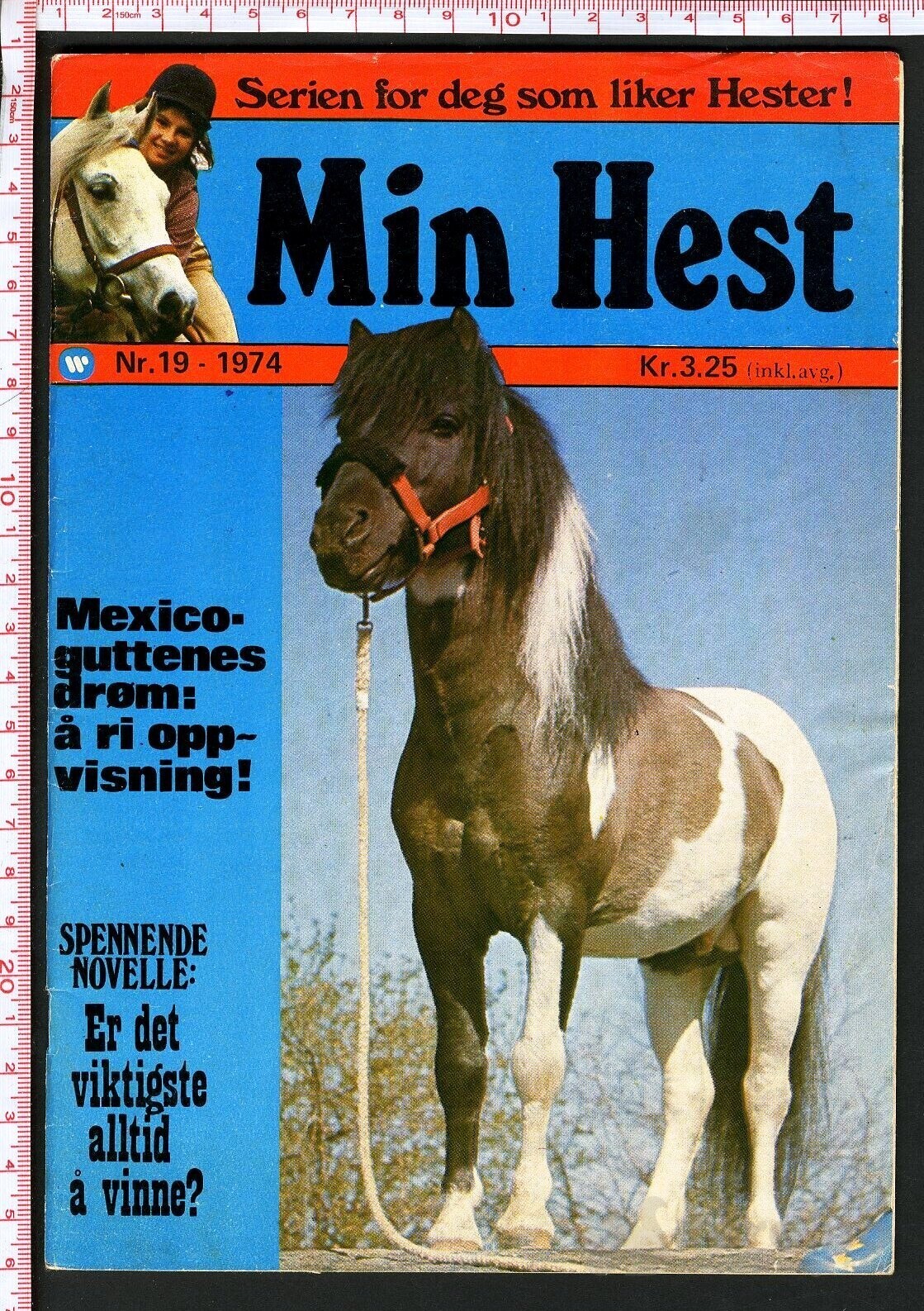 Min hest nr.19 - 1974