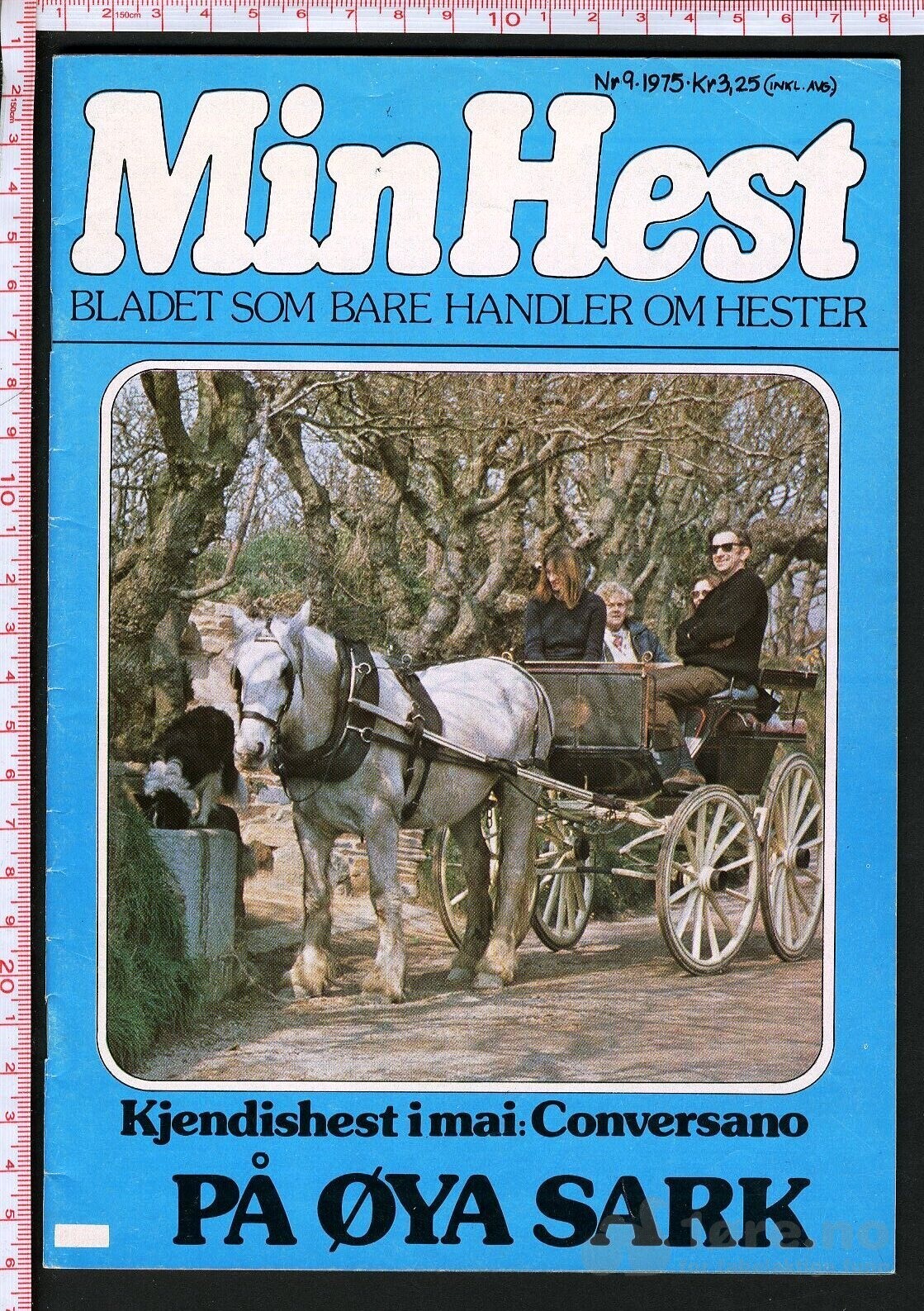 Min hest nr.9 - 1975