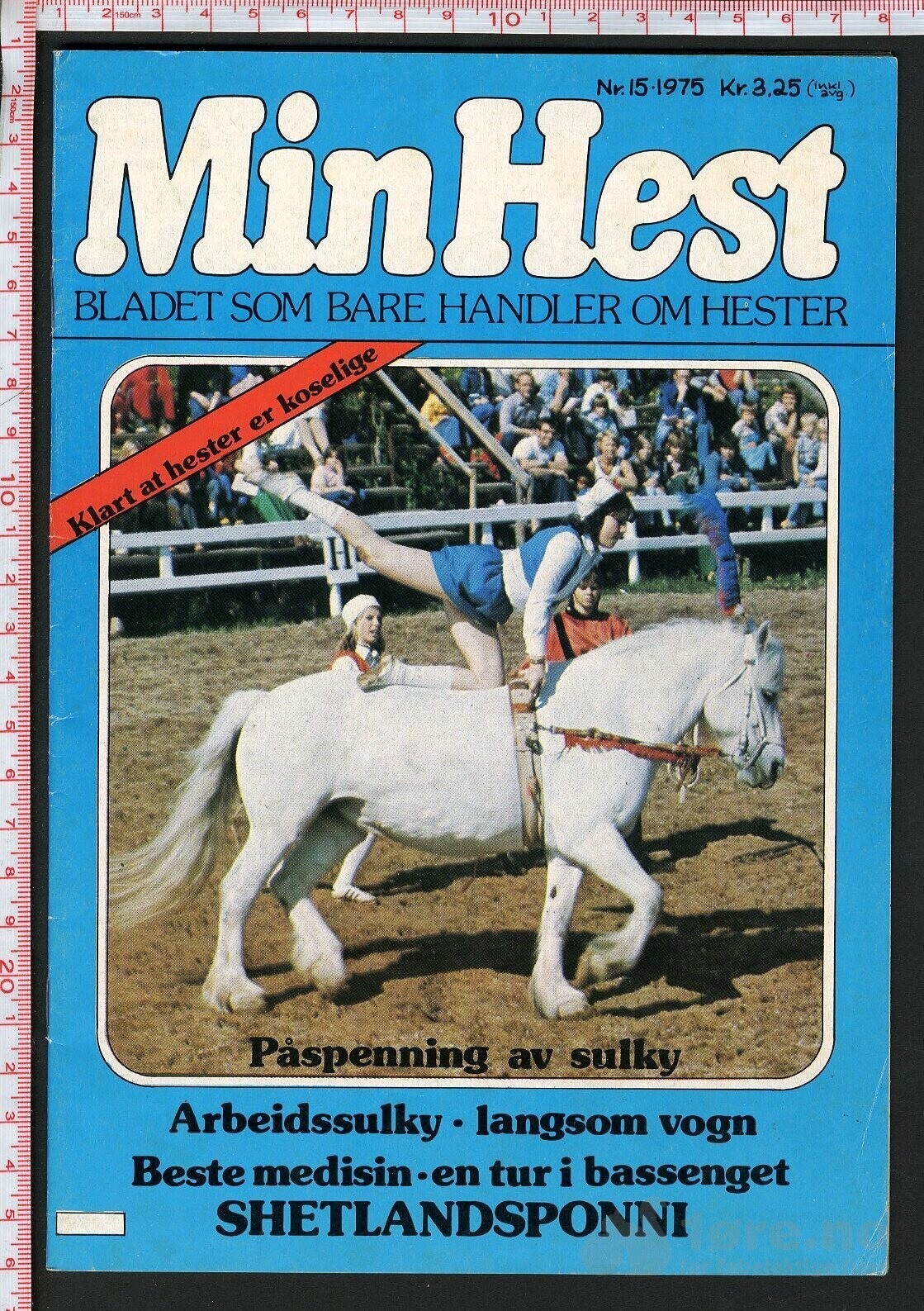 Min hest nr.15 - 1975