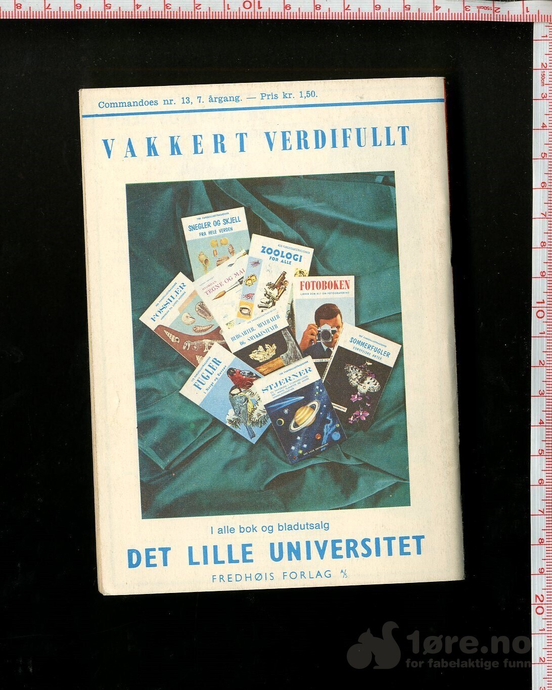 Commandoes nr 13/1968, bilde 2